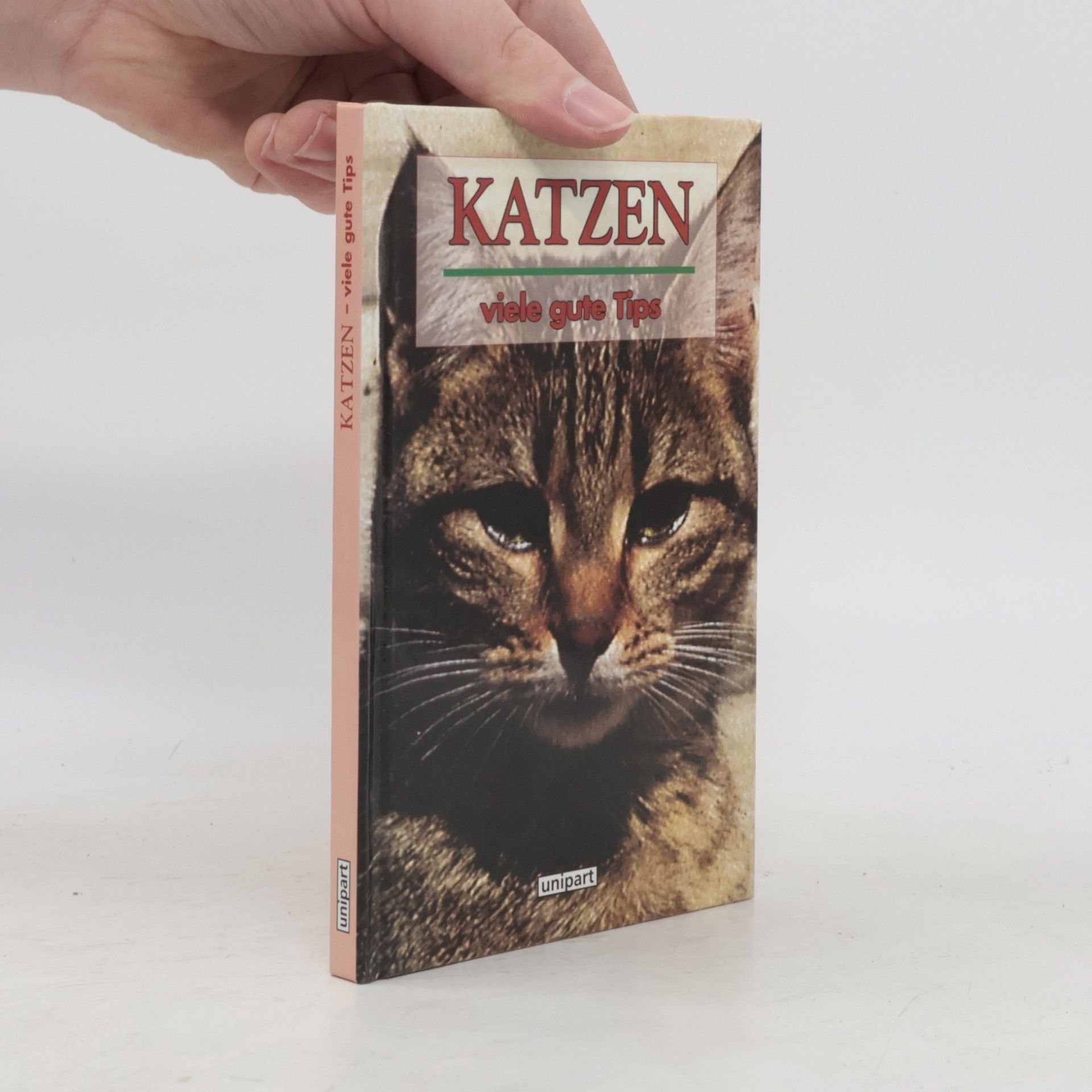 Autores varios Katzen viele gute Tips