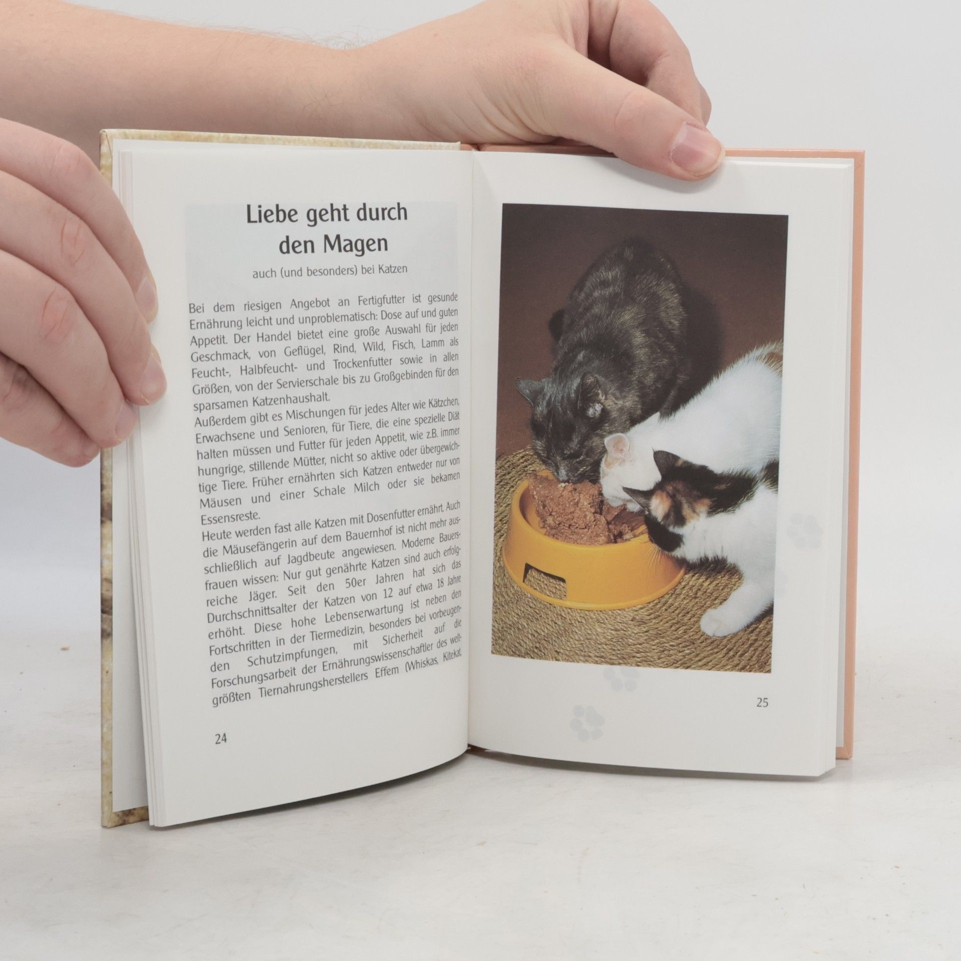 Various authors Katzen viele gute Tips