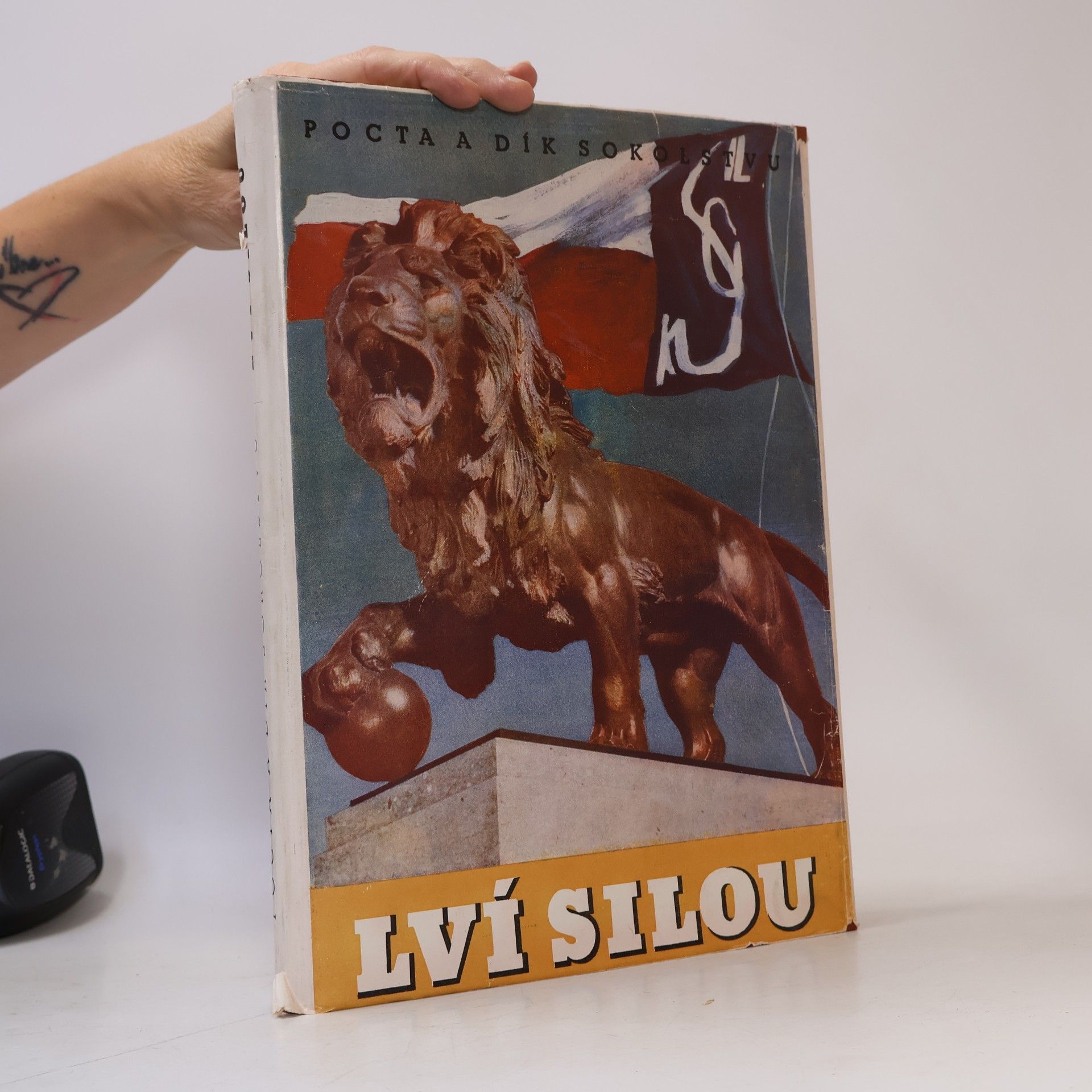 Various authors Lví silou