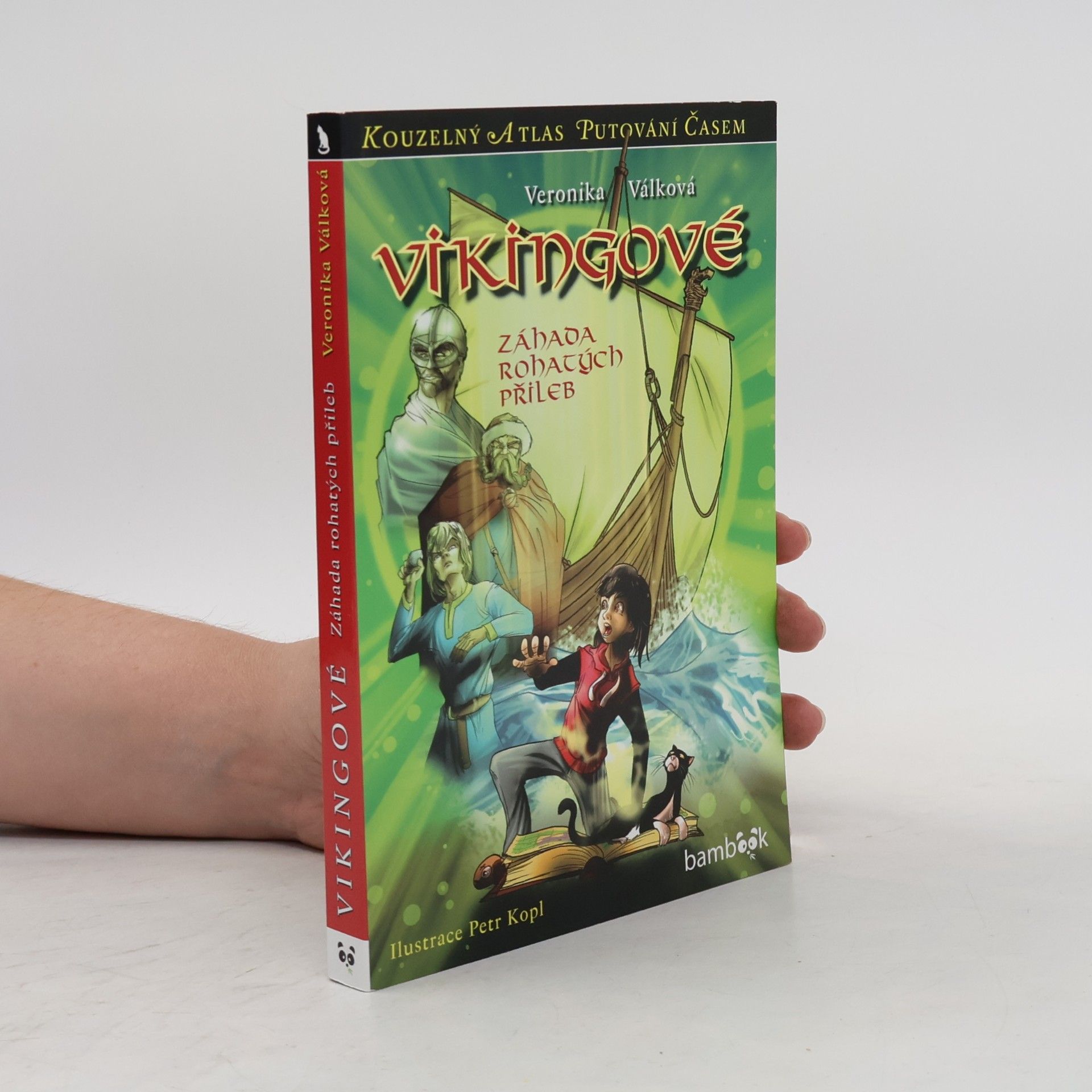 Vikingové : záhada rohatých přileb