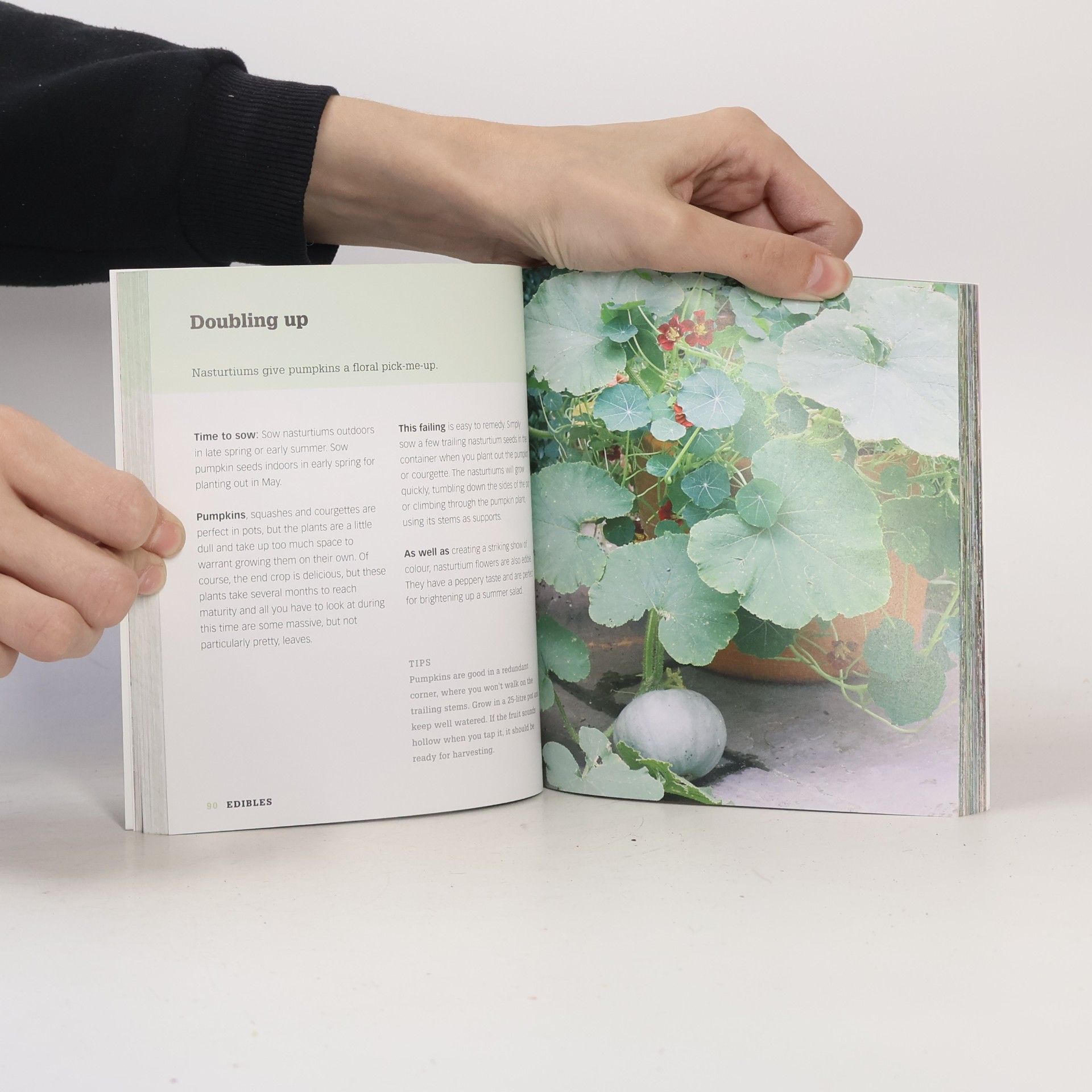 Martyn Cox Gardeners' World Magazine: 101 Ideas for Small Gardens