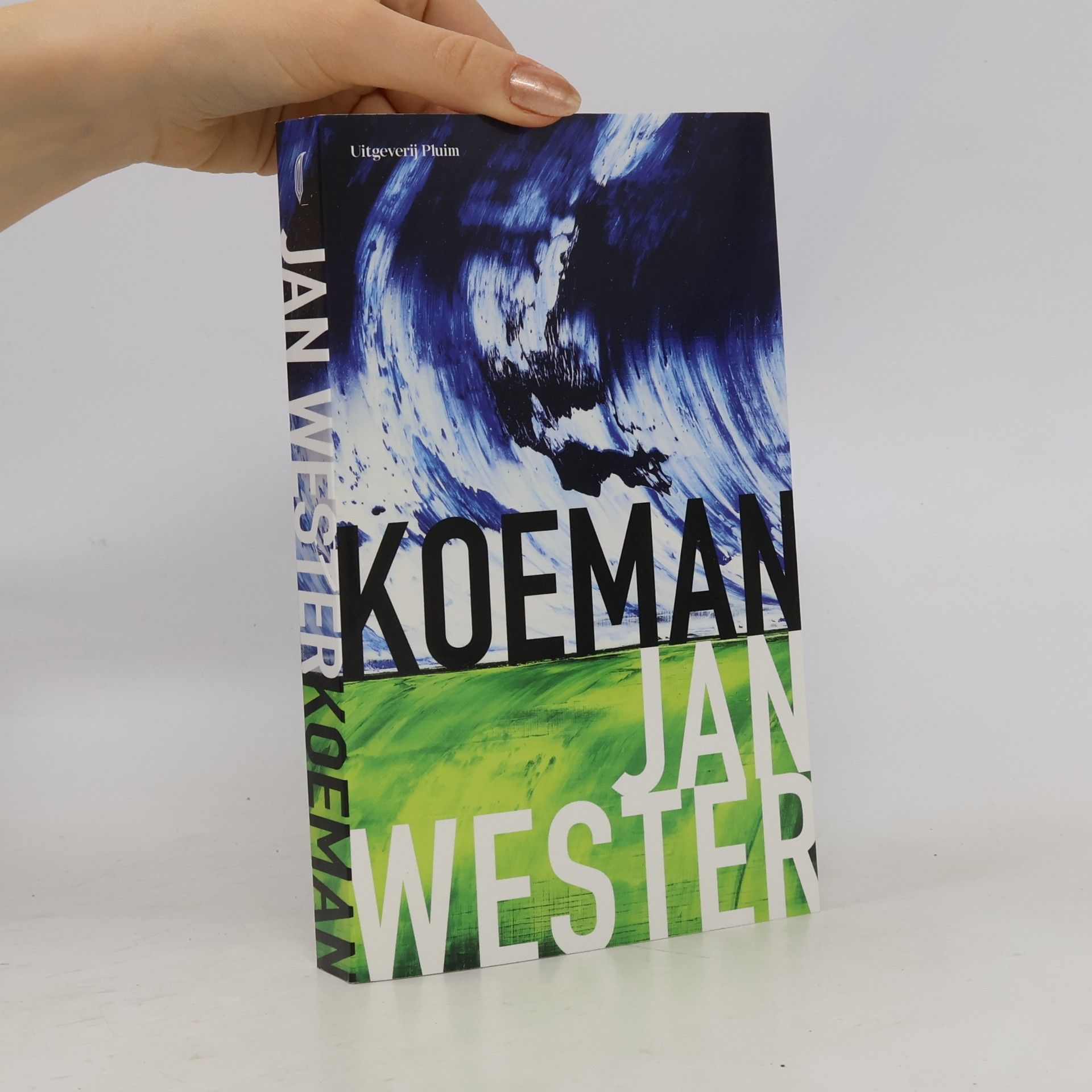 Jan Wester Koeman