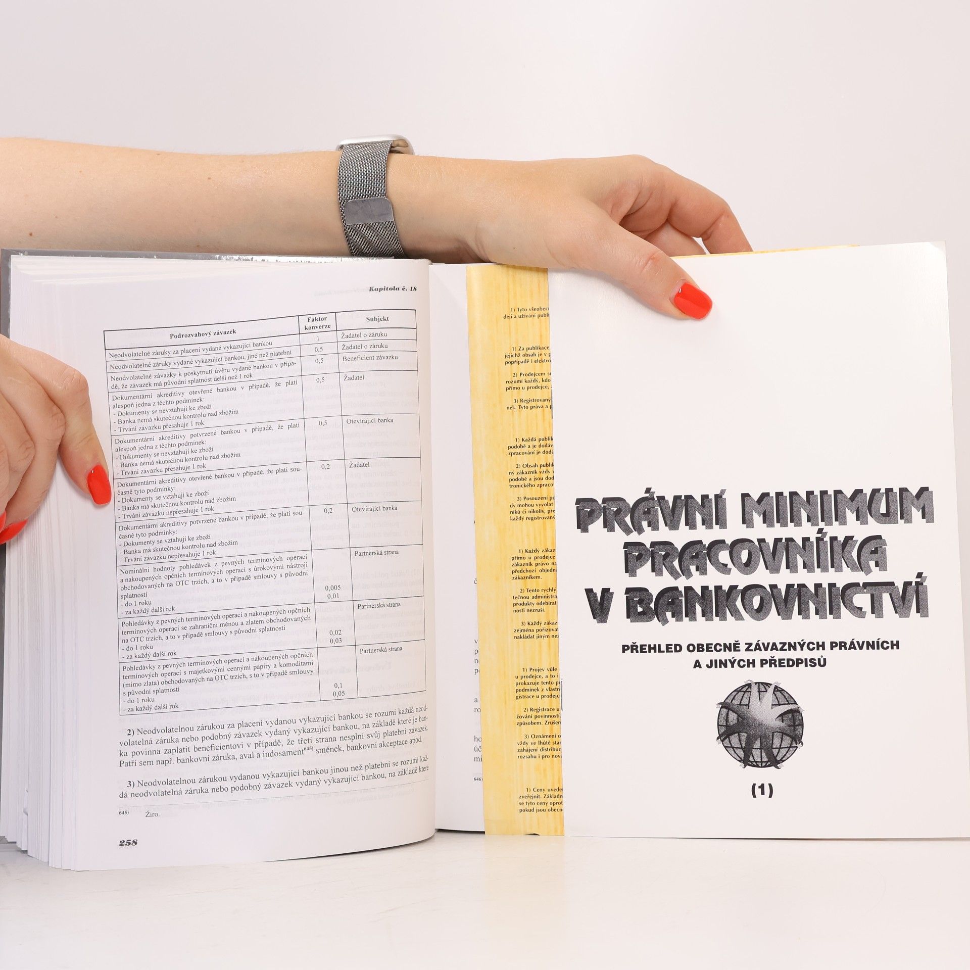 Kolektiv autorů Právní minimum pracovníka v bankovnictví