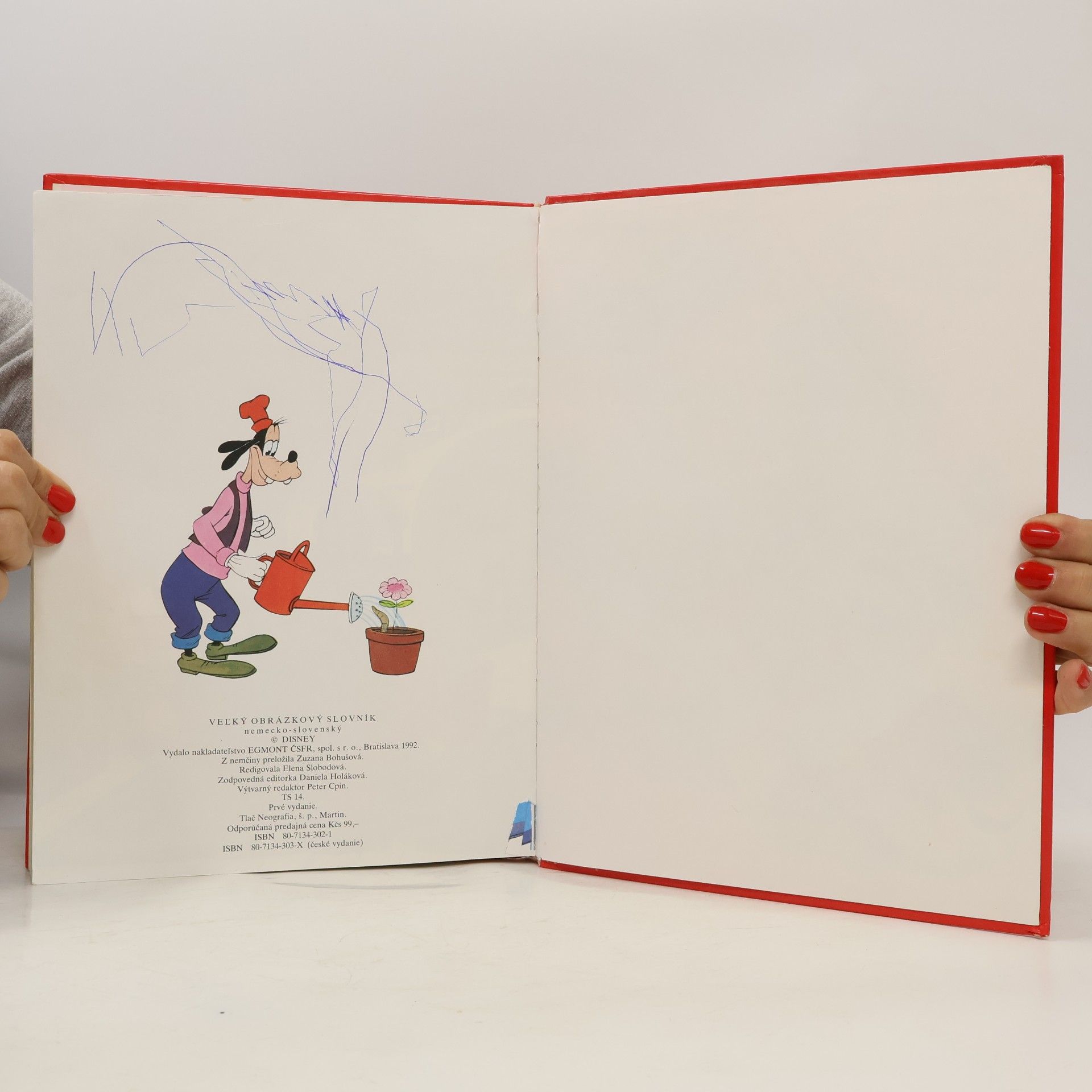 Zuzana Bohušová Veľký obrázkový Walt Disney slovník