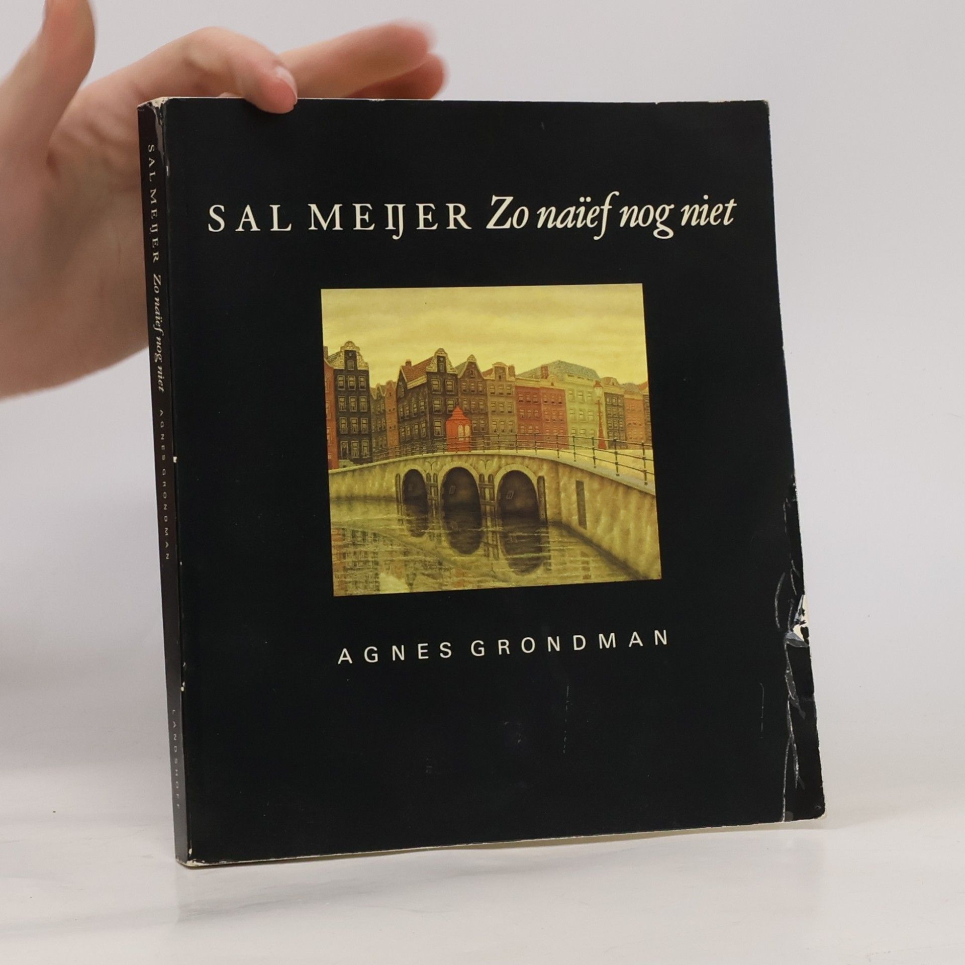 Sal Meijer Sal Meijer, zo naïef nog niet