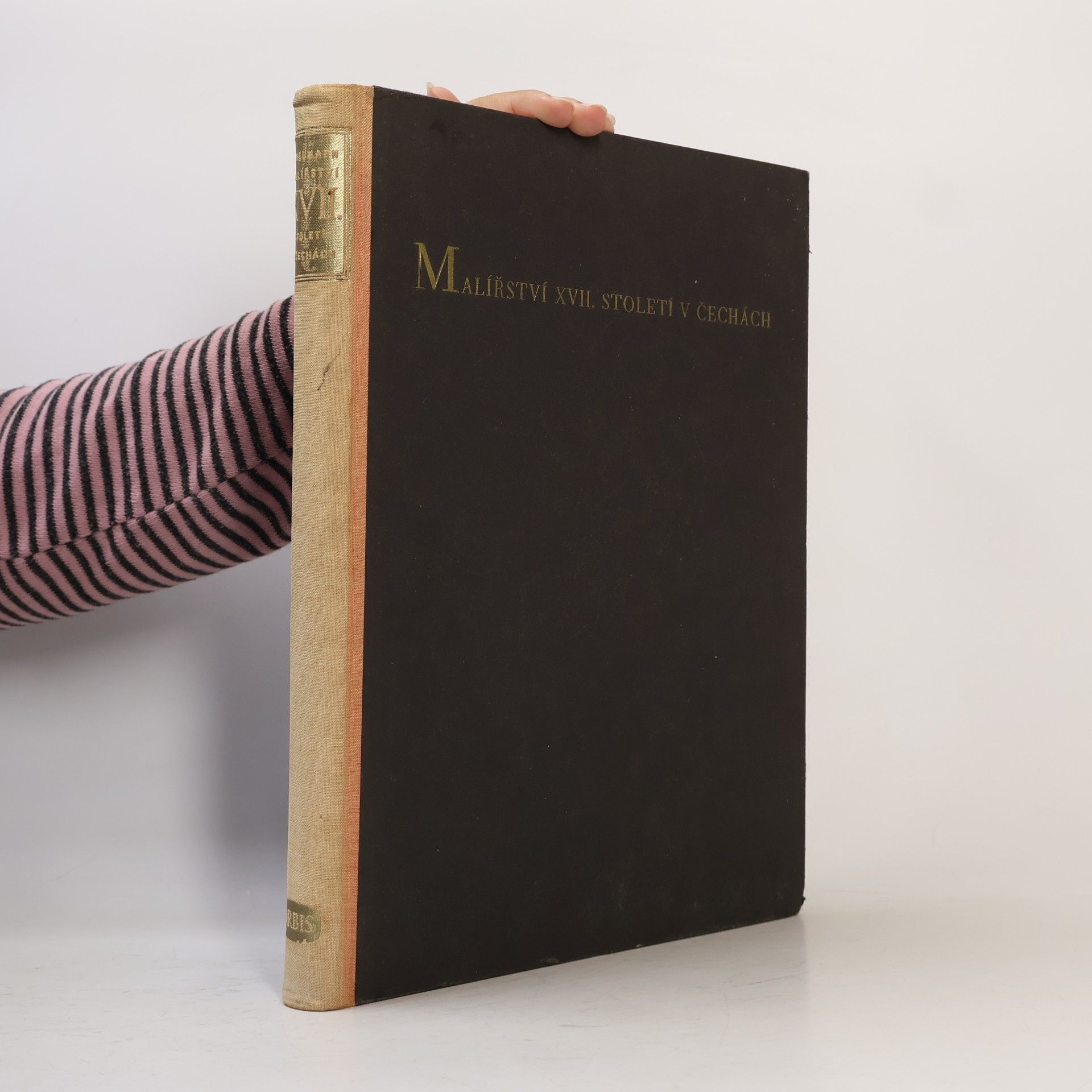 Jaromír Neumann Malířství XVII. století v Čechách