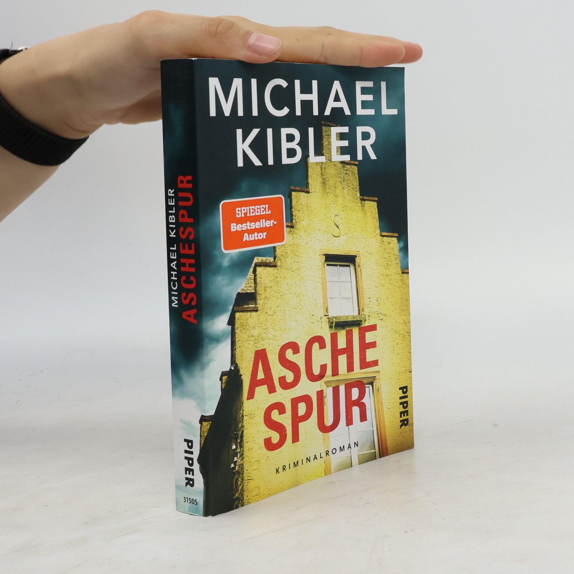 Michael Kibler Aschespur