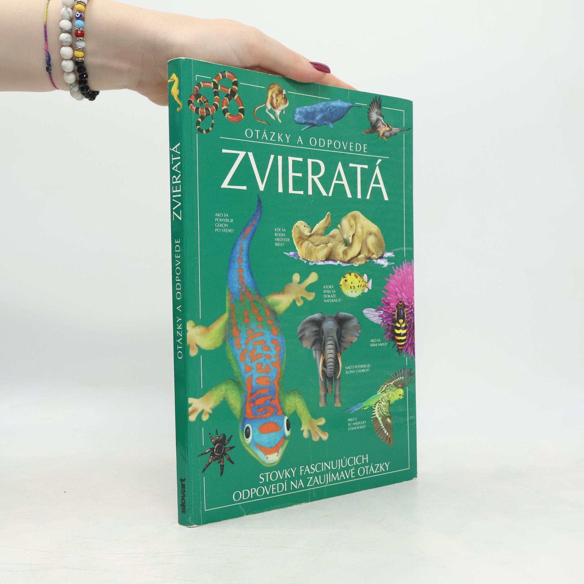 Kolektiv autorů Otázky a odpovede. Zvieratá