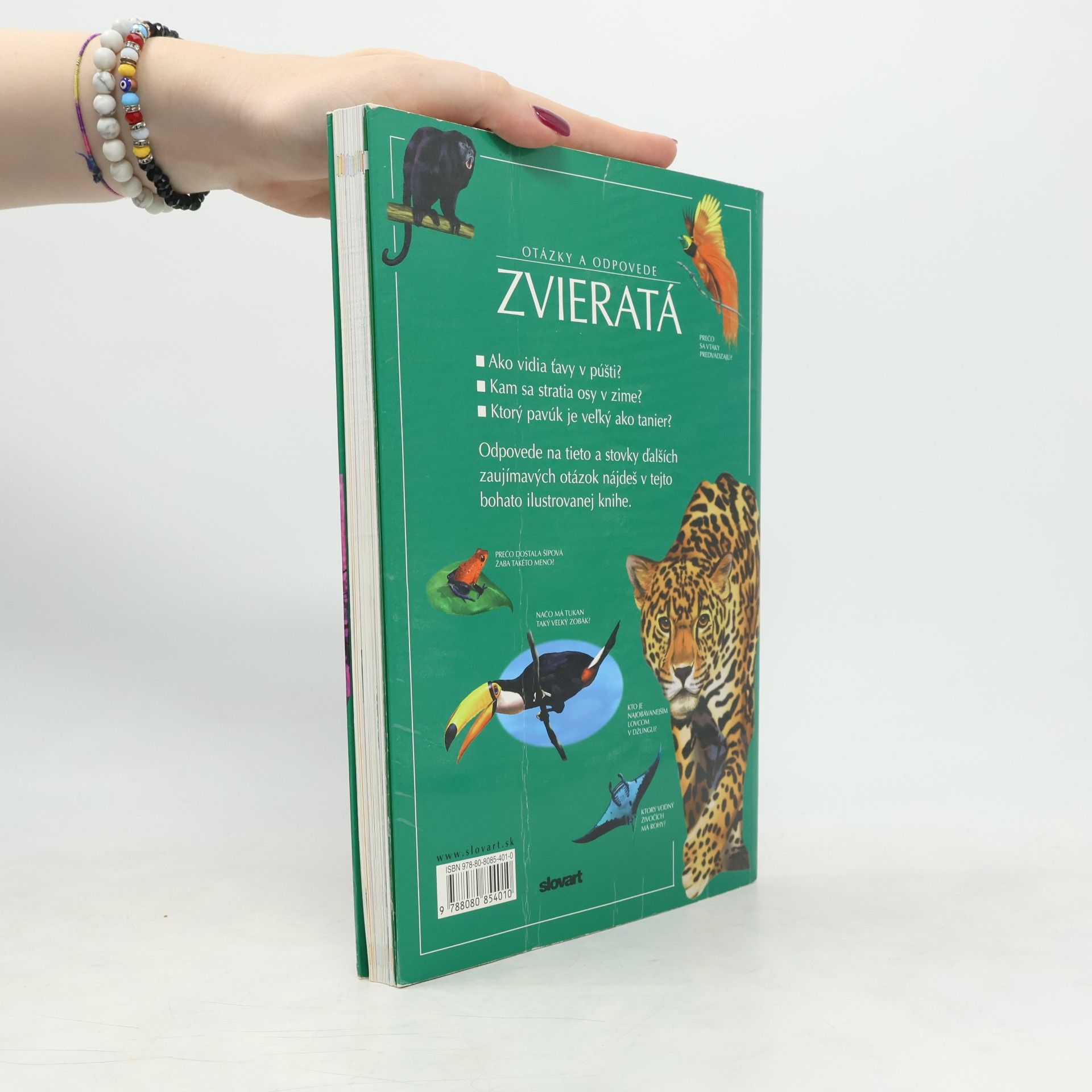 Kolektív autorov Otázky a odpovede. Zvieratá