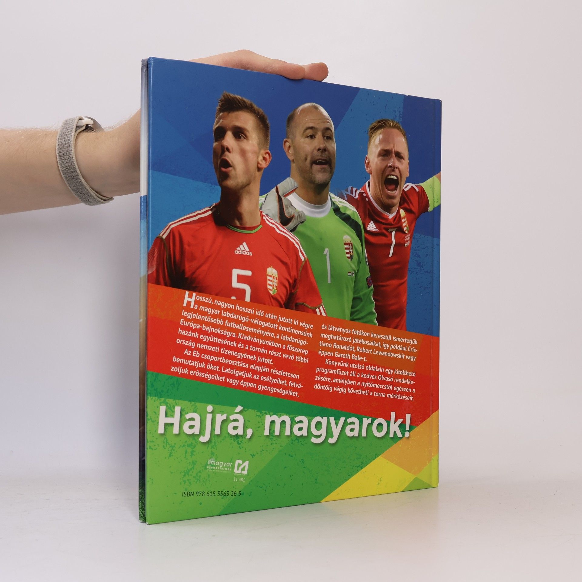 Csaba Szőke Futball- Európa-bajnokság 2016 Franciaország