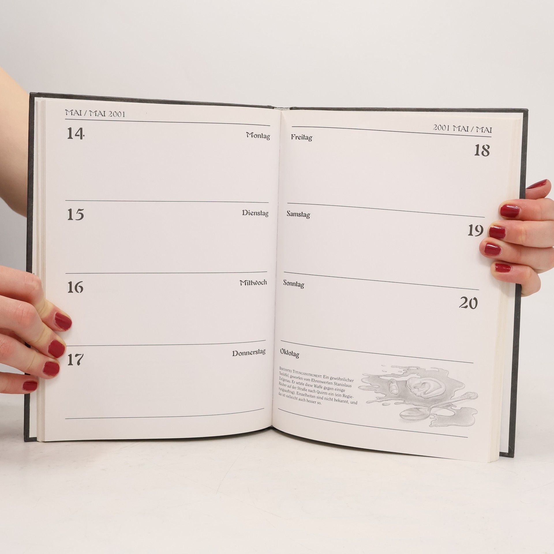 Terry Pratchett Der Scheibenwelt-Kalender 2001