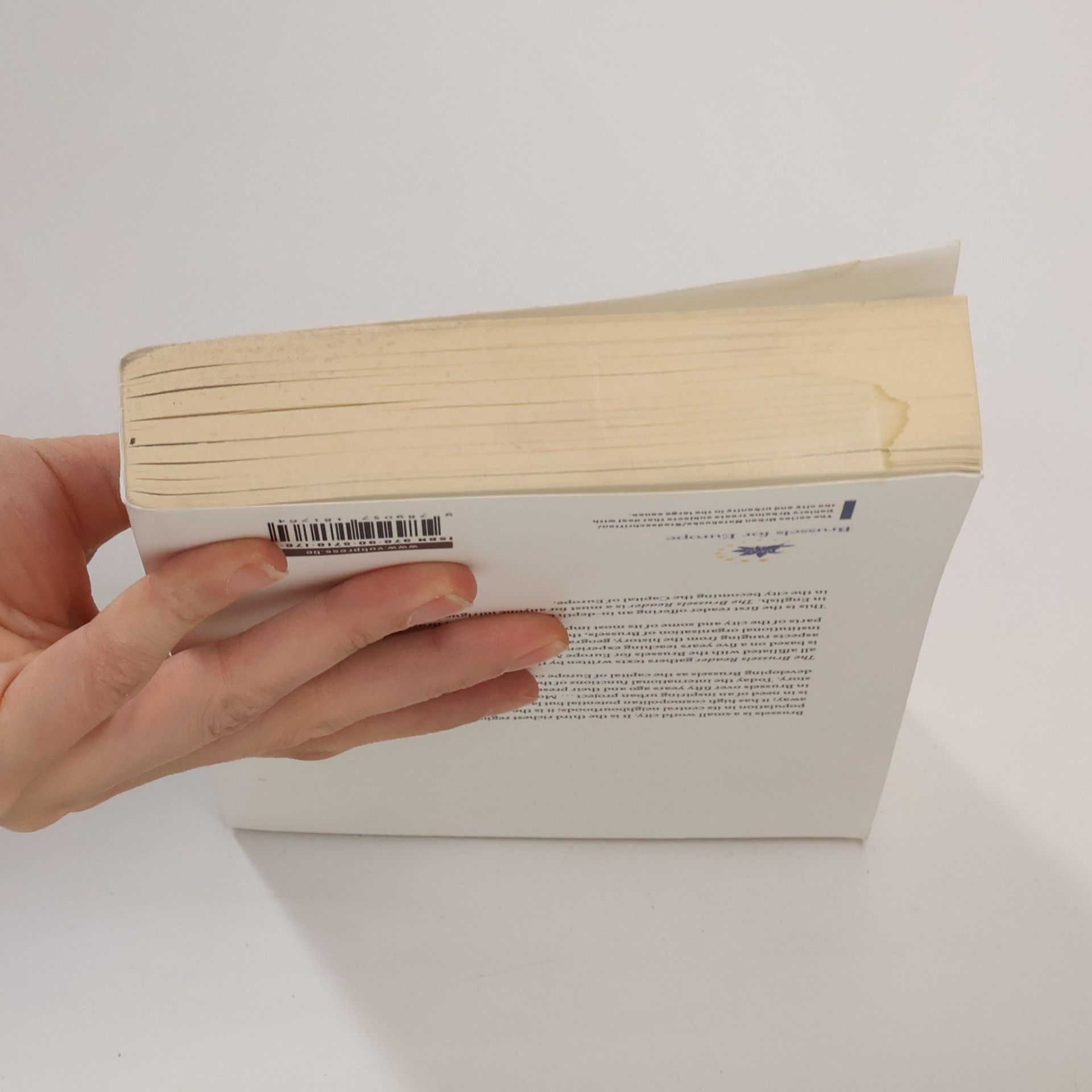 Eric Corijn Urban Notebooks: The Brussels Reader