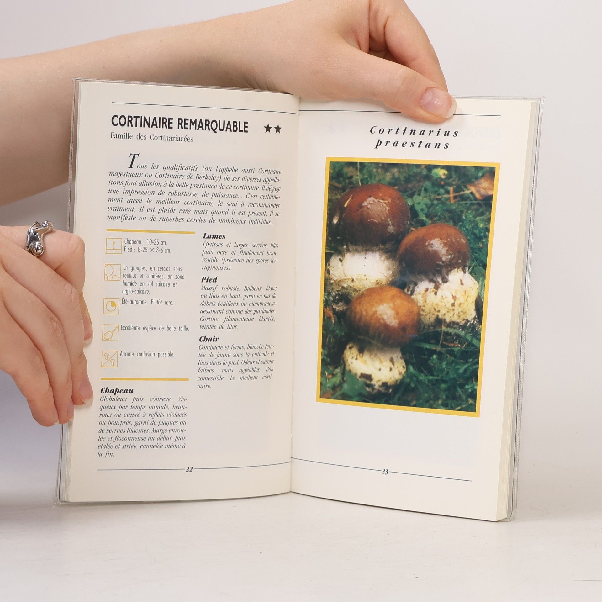 Philippe Joly Les champignons comestibles des bois
