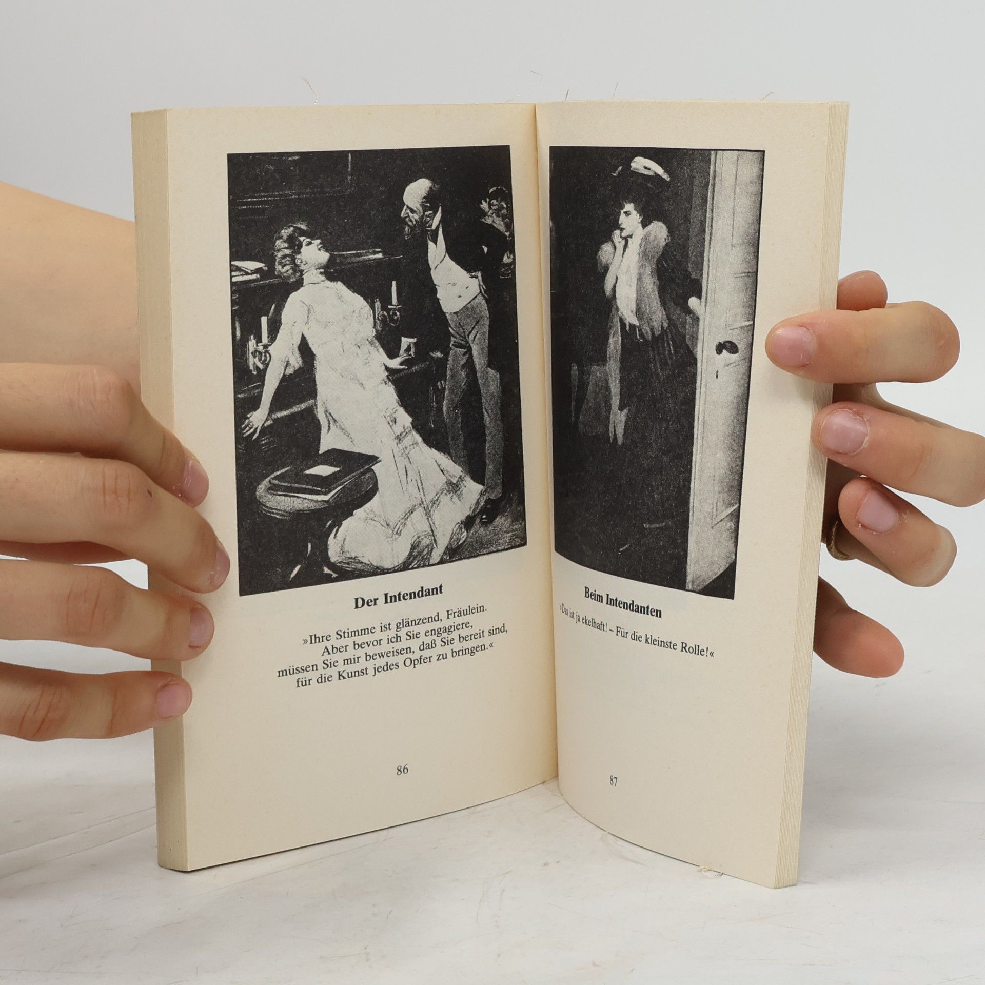 Gerhard Flügge Das kleine Ferdinand von Reznicek Buch