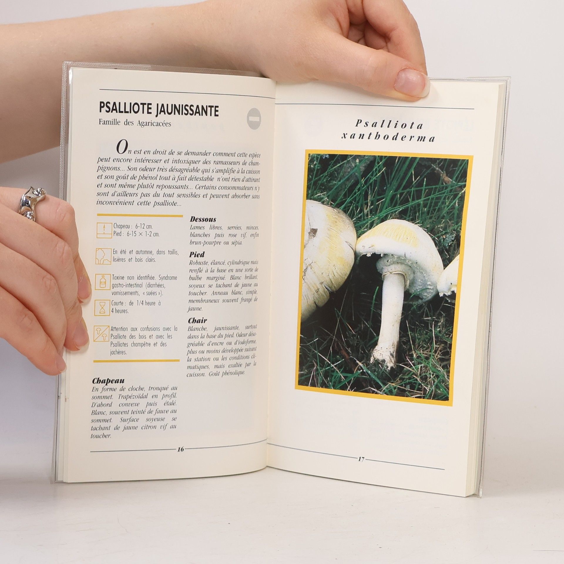 Philippe Joly Les champignons toxiques des bois et des prés
