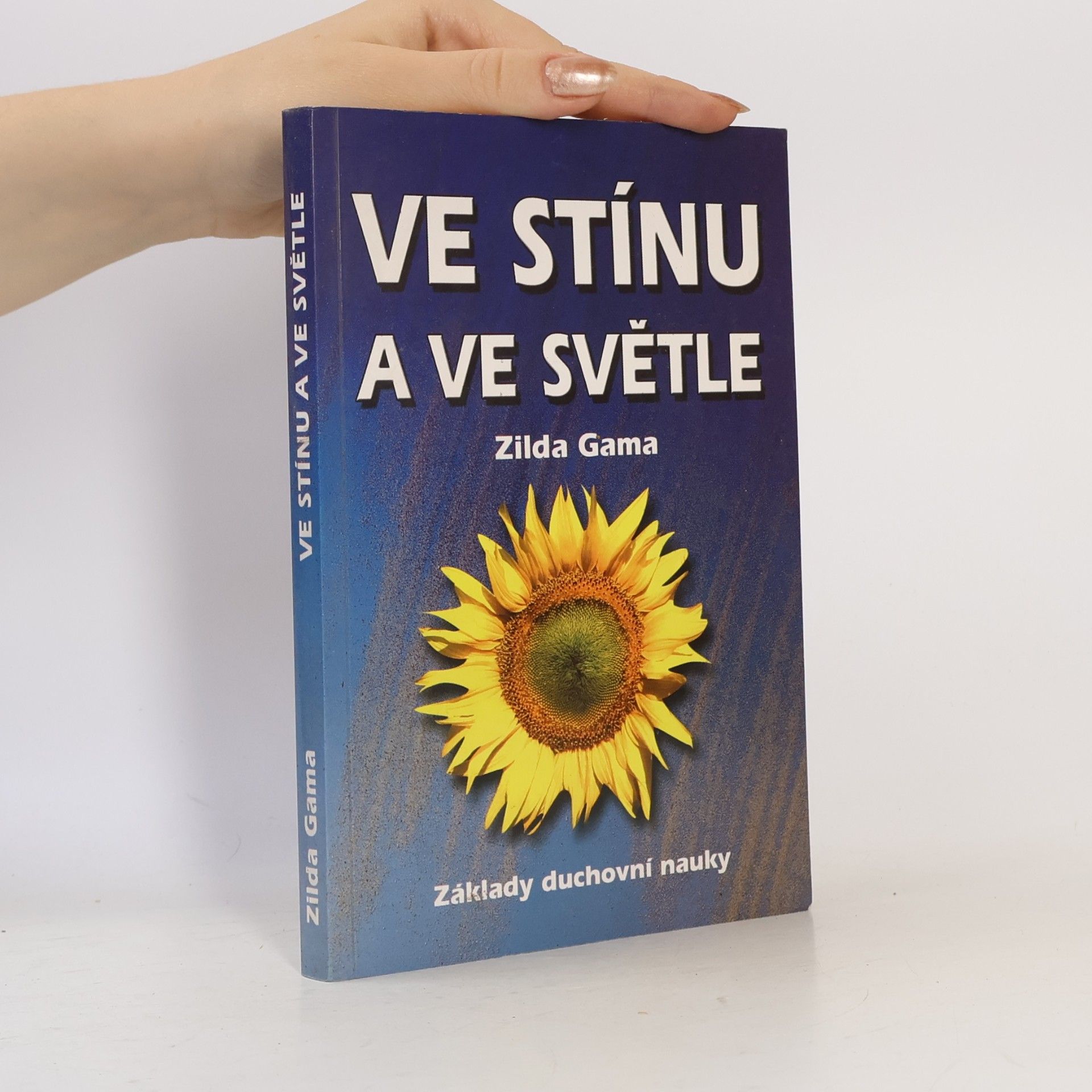 Zilda Gama Ve stínu a ve světle : posmrtný román Viktora Huga
