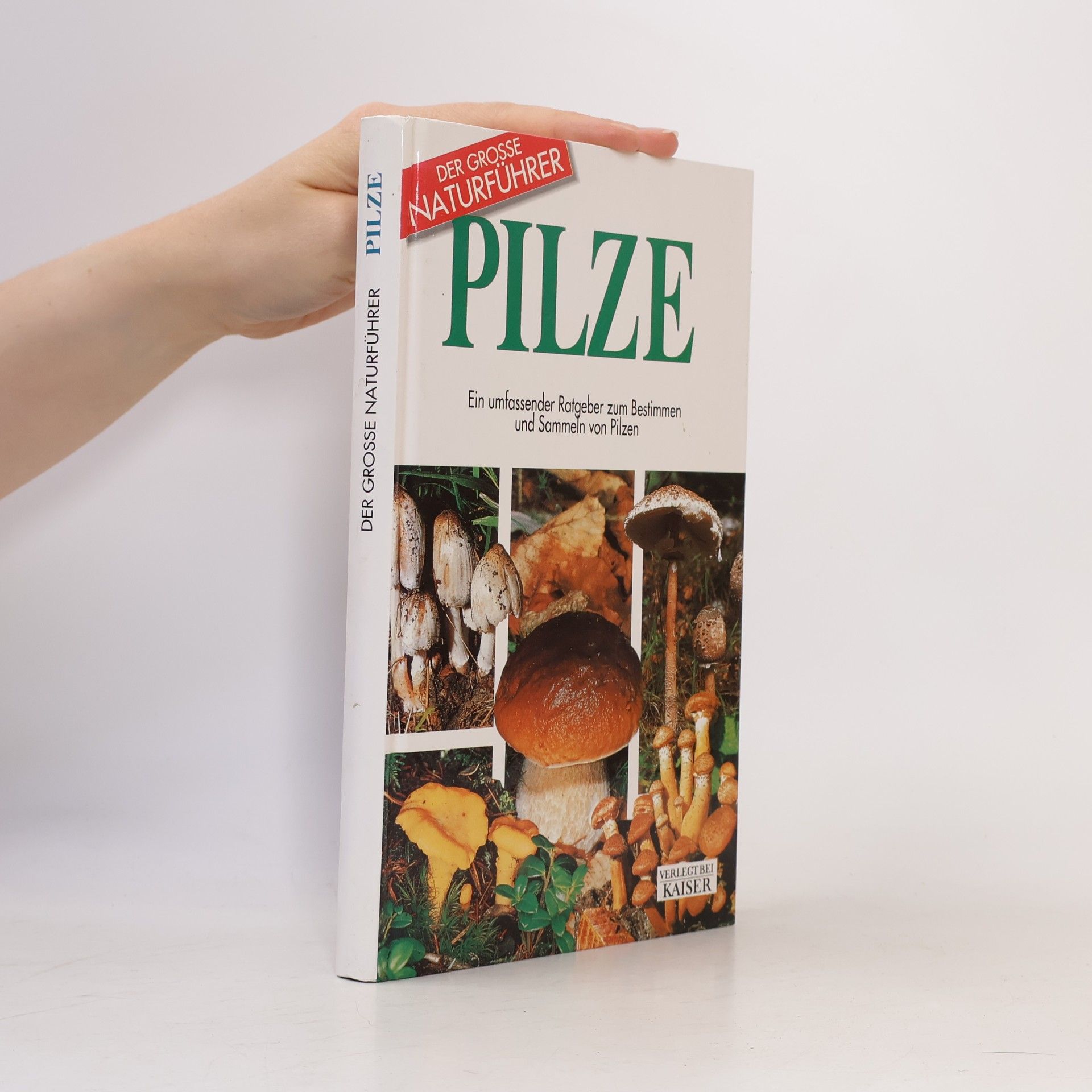 Autorenkollektiv Pilze. Ein umfassender Ratgeber zum Bestimmen und Sammeln von Pilzen.