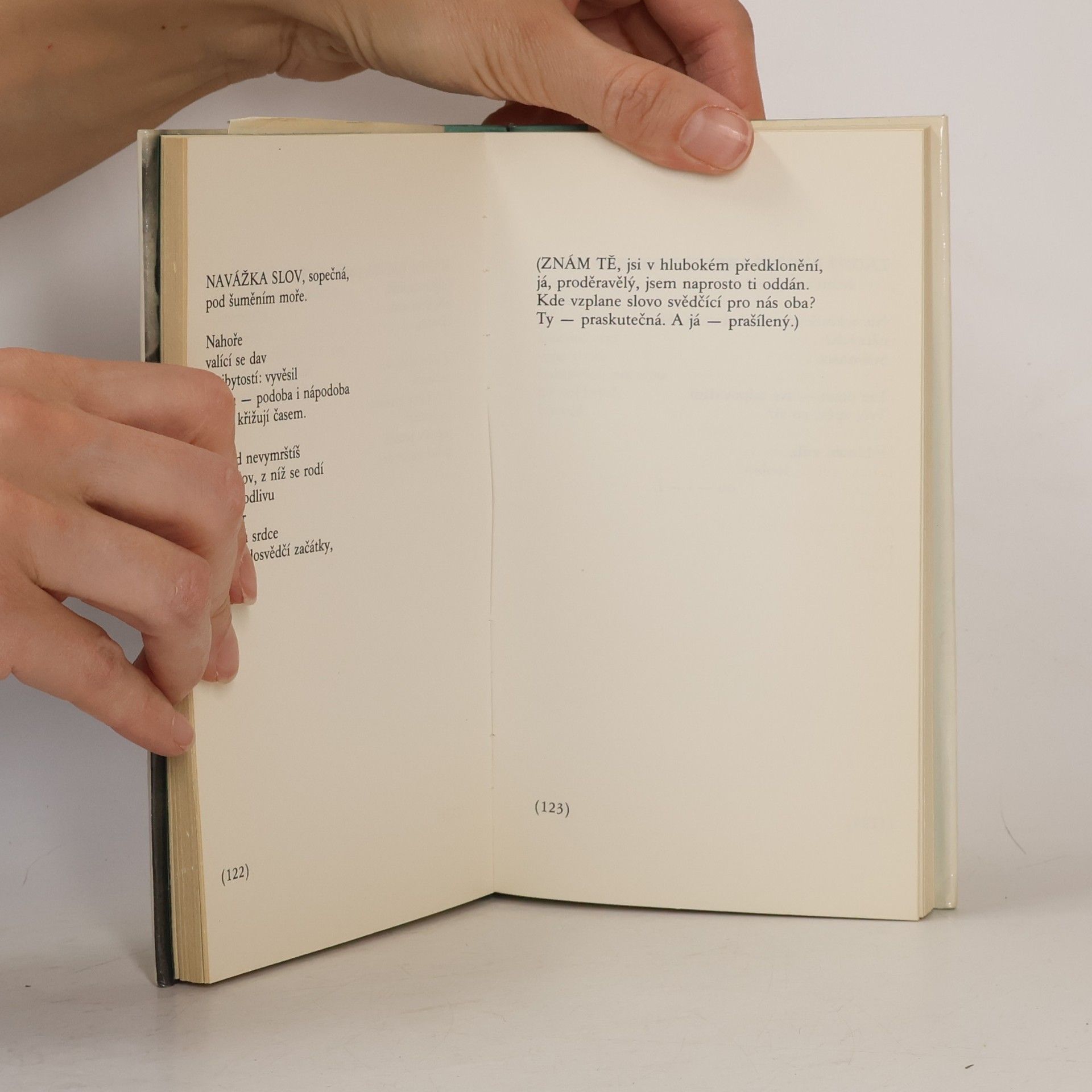 Paul Celan Sněžný part