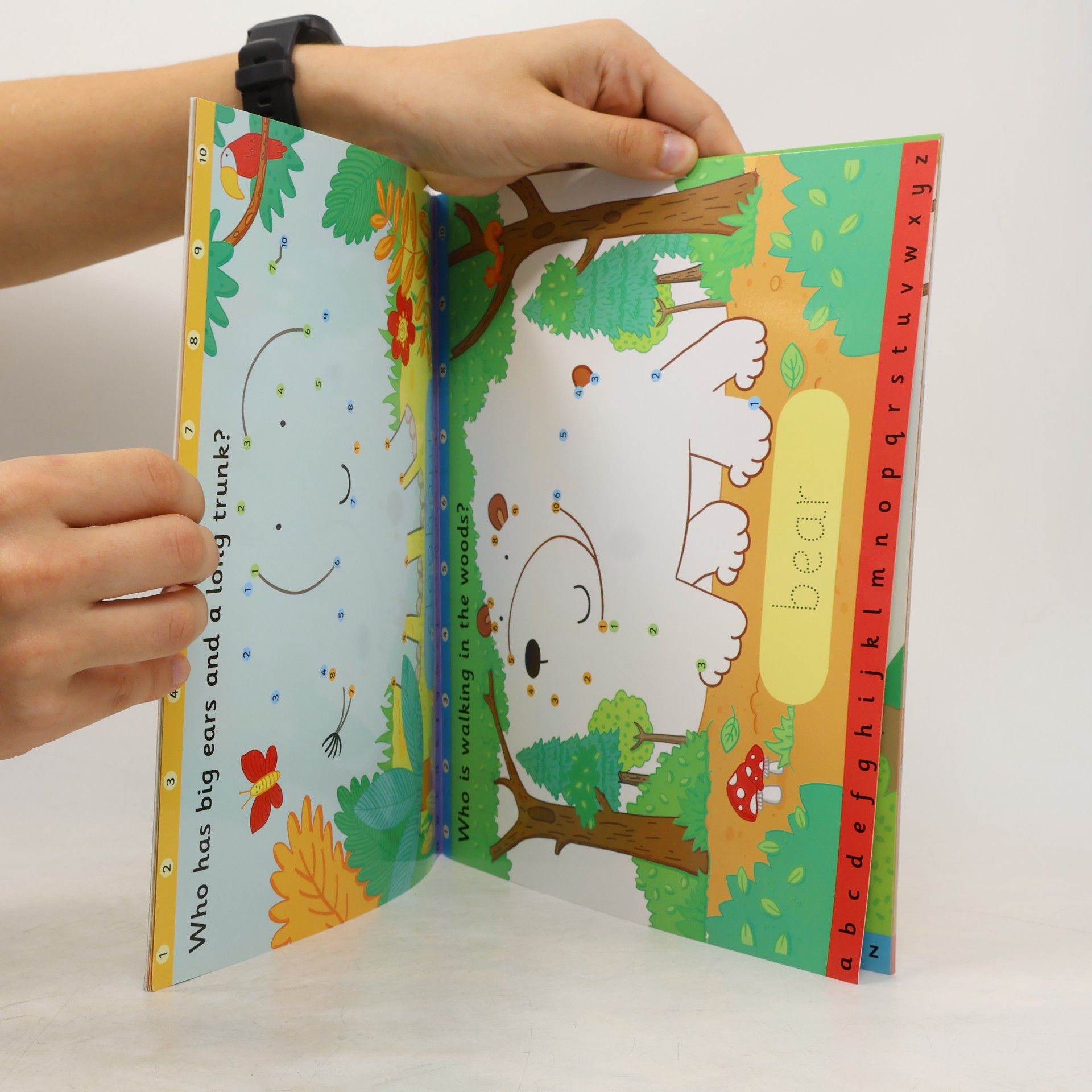 Katrina Fearn Wipe-clean Dot-to-dot Animals, w. pen