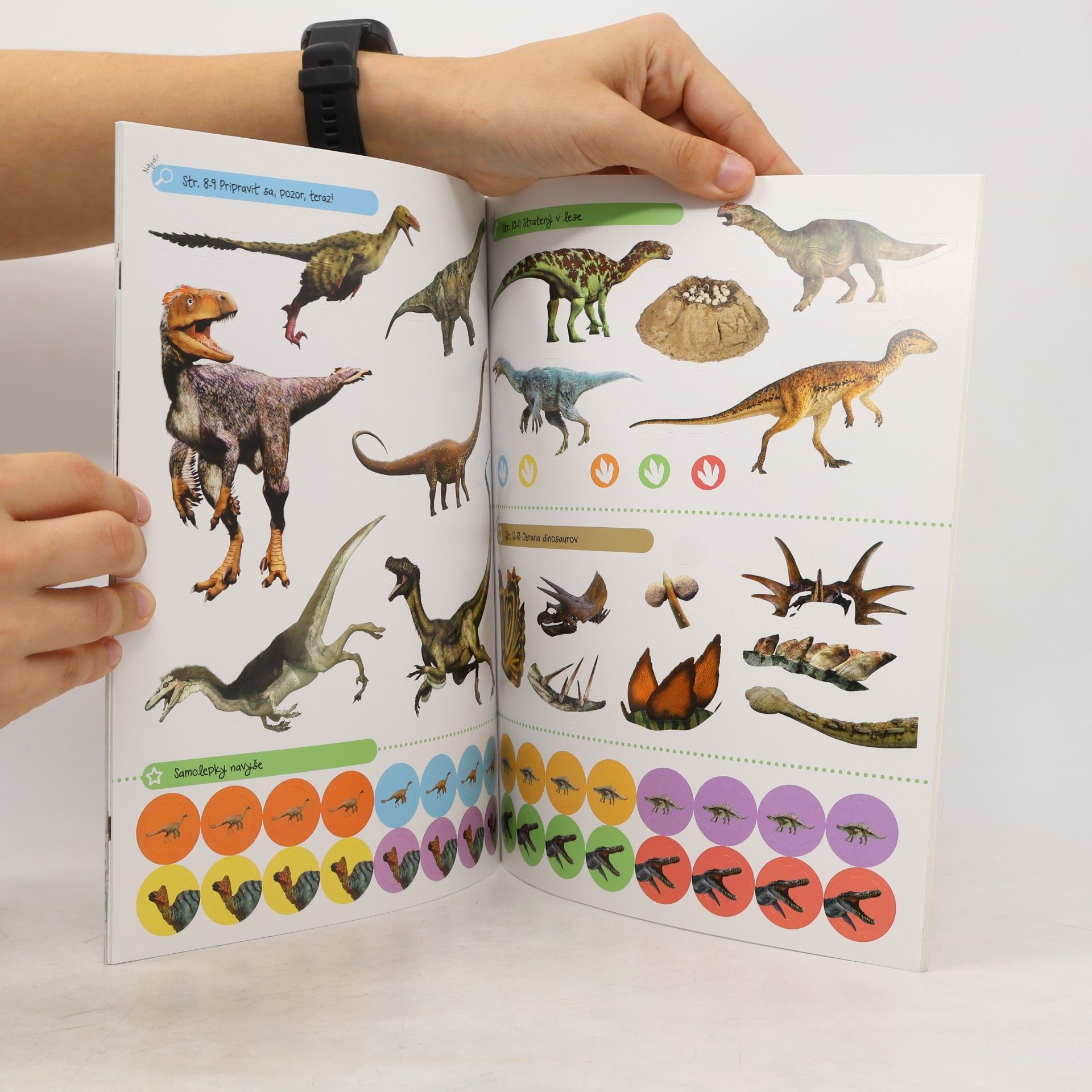 Autorenkollektiv Samolepková knižka - Dinosaury