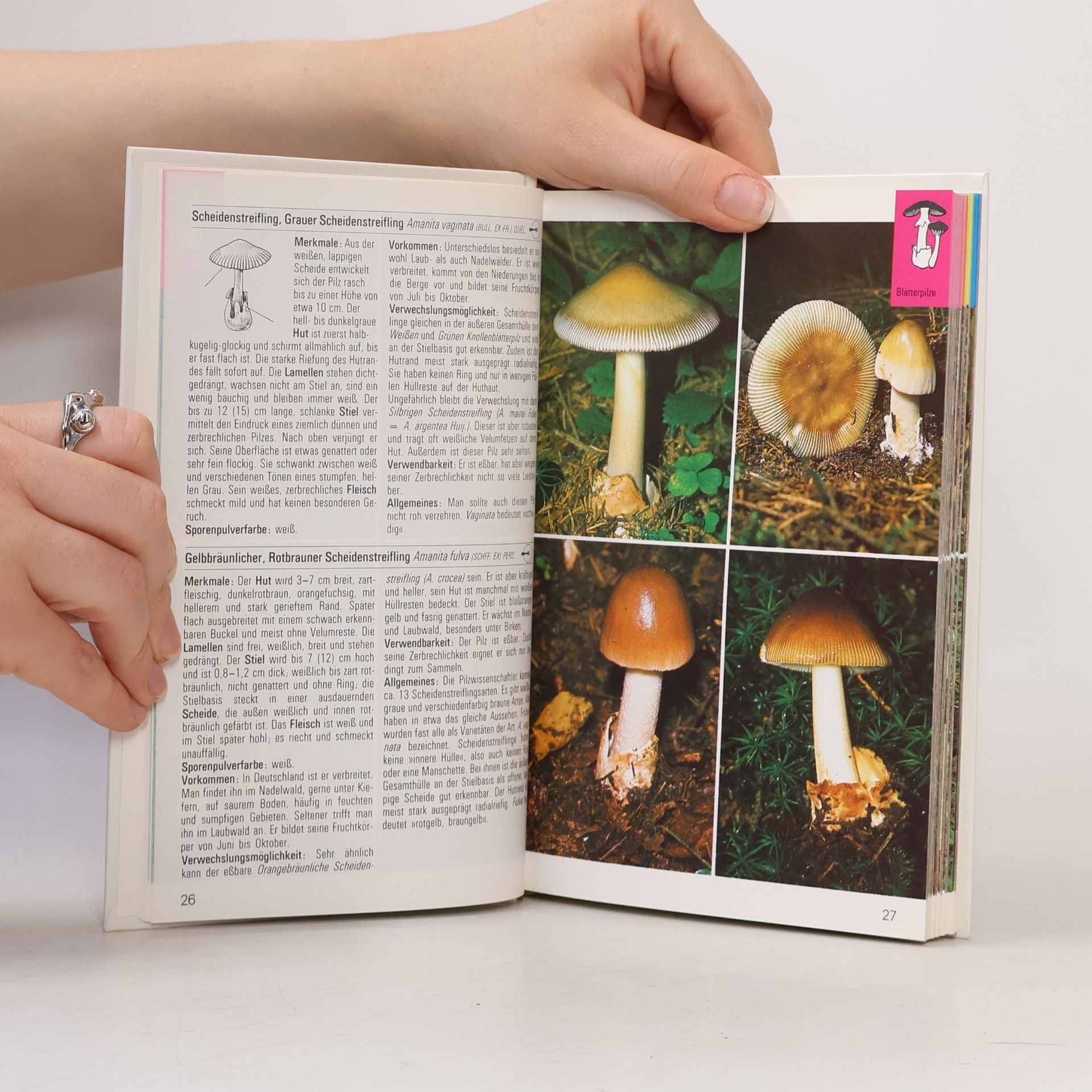 Various authors Pilze