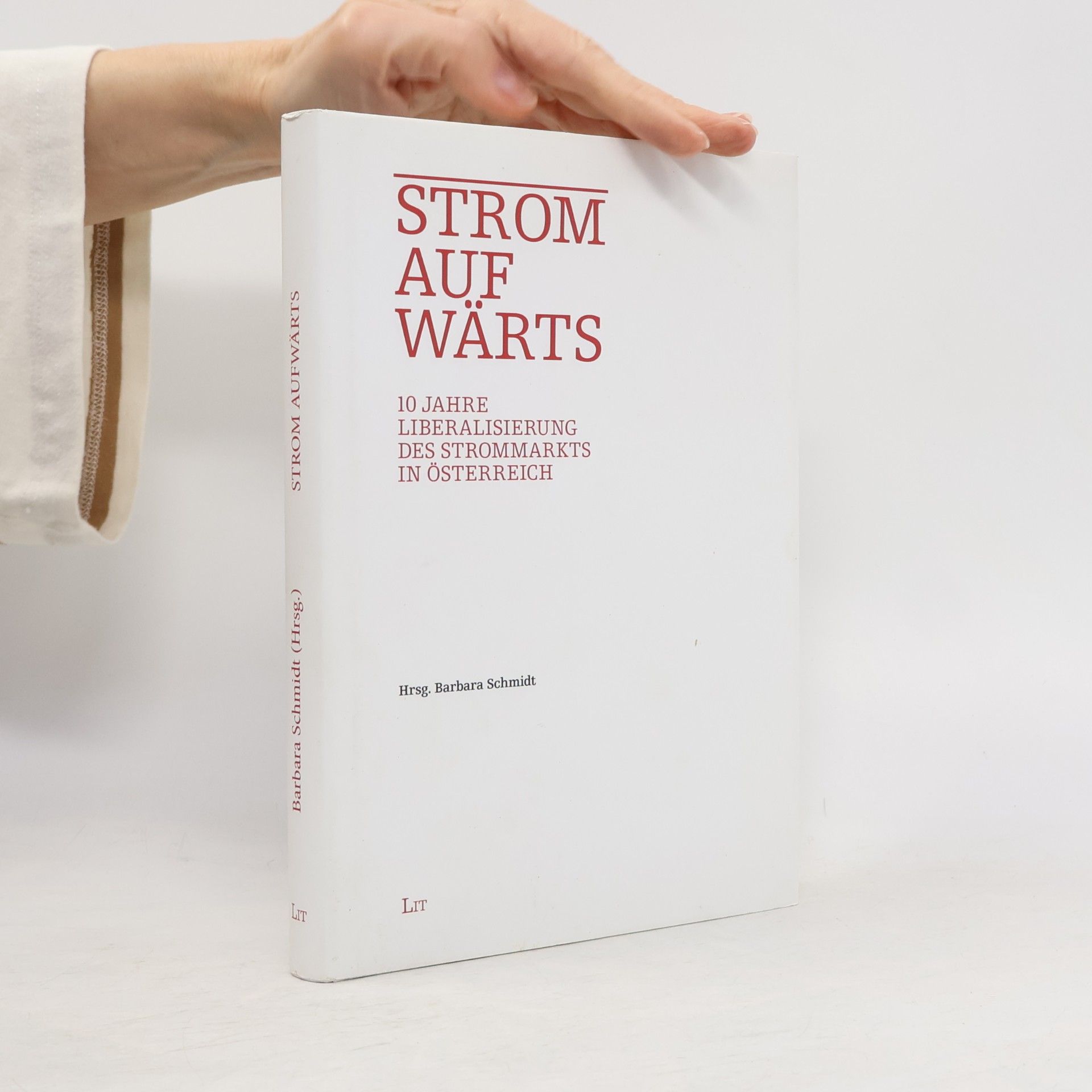 Barbara Schmidt-Rettig Strom aufwärts