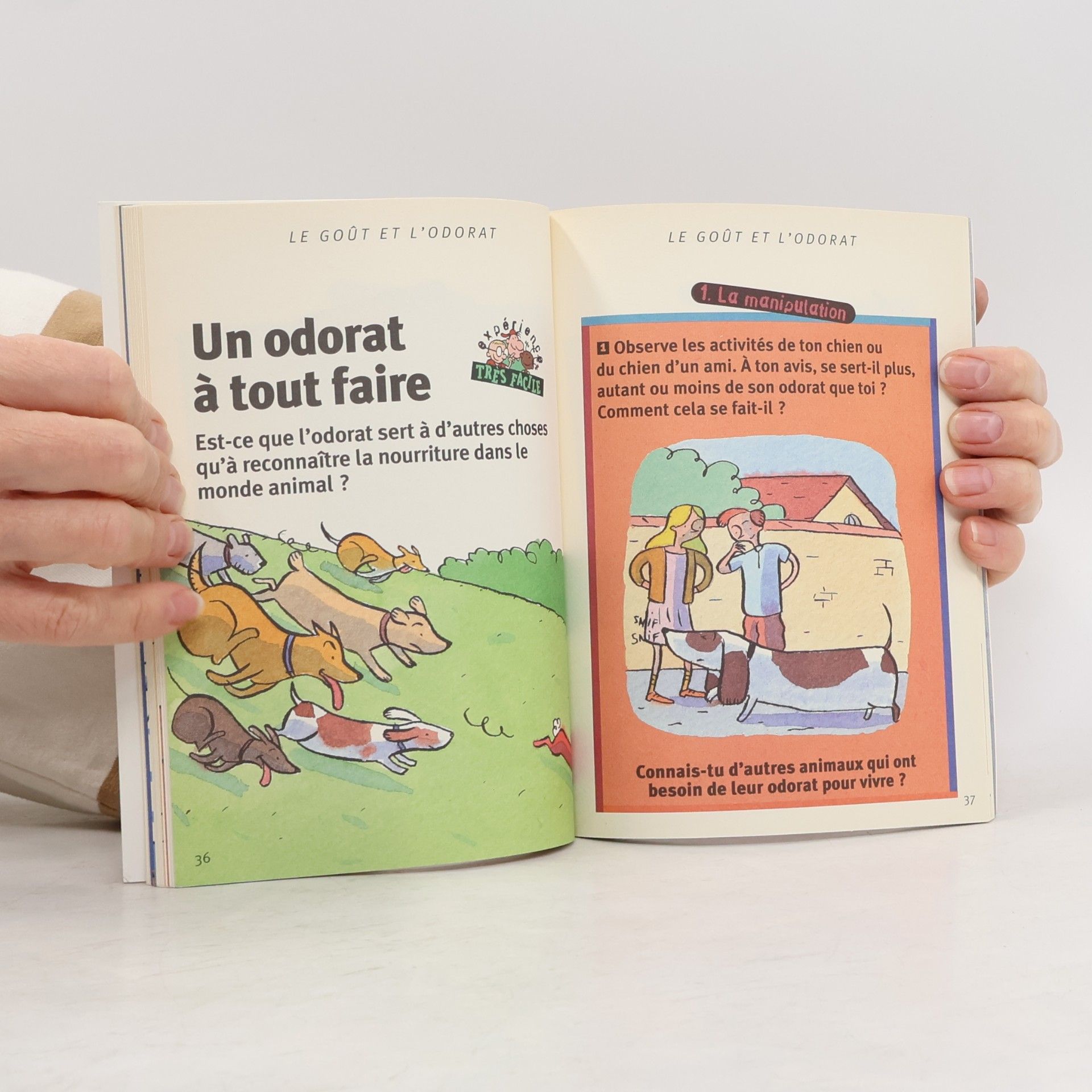Various Le Goût et l'Odorat