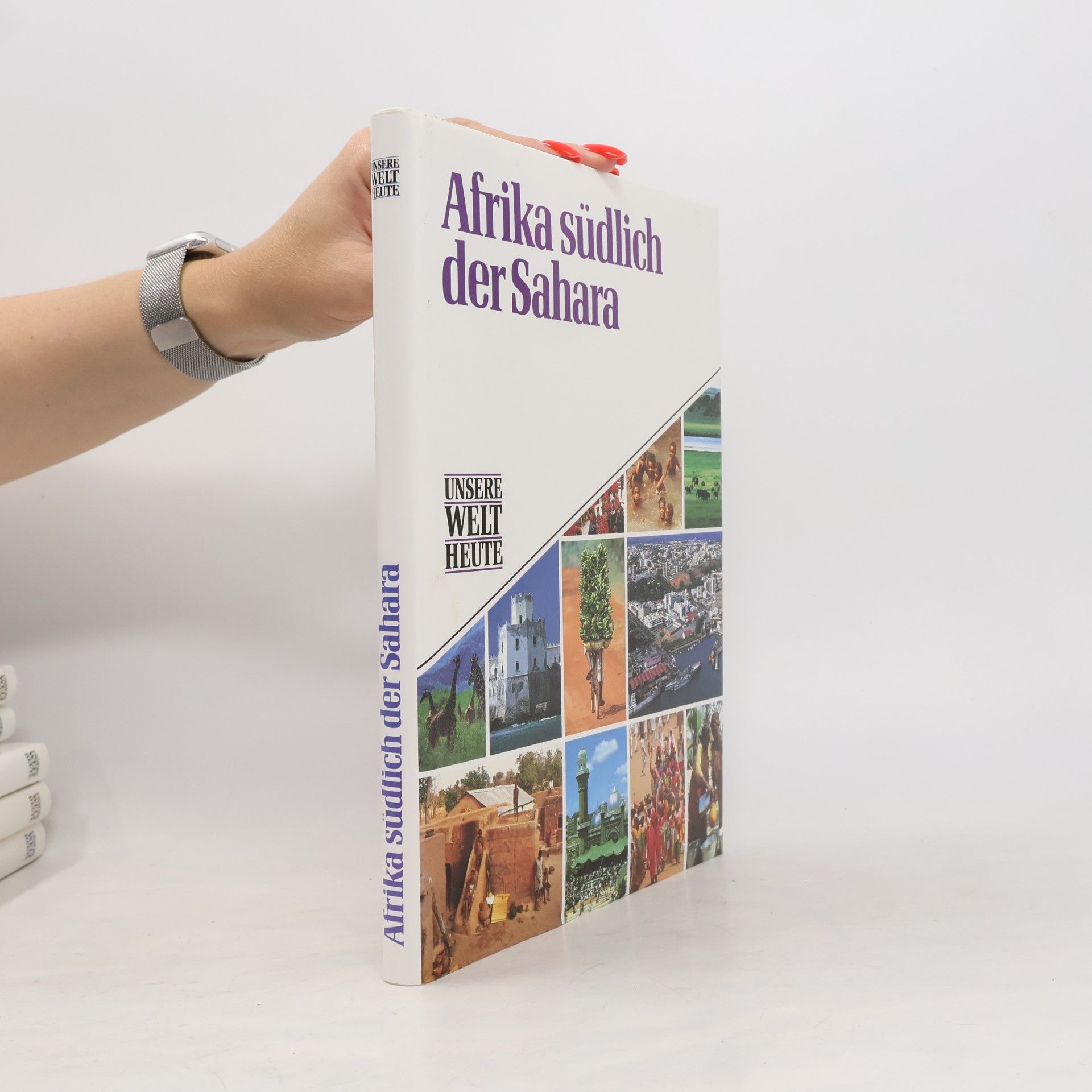 Kolektiv autorů Afika südlich der Sahara