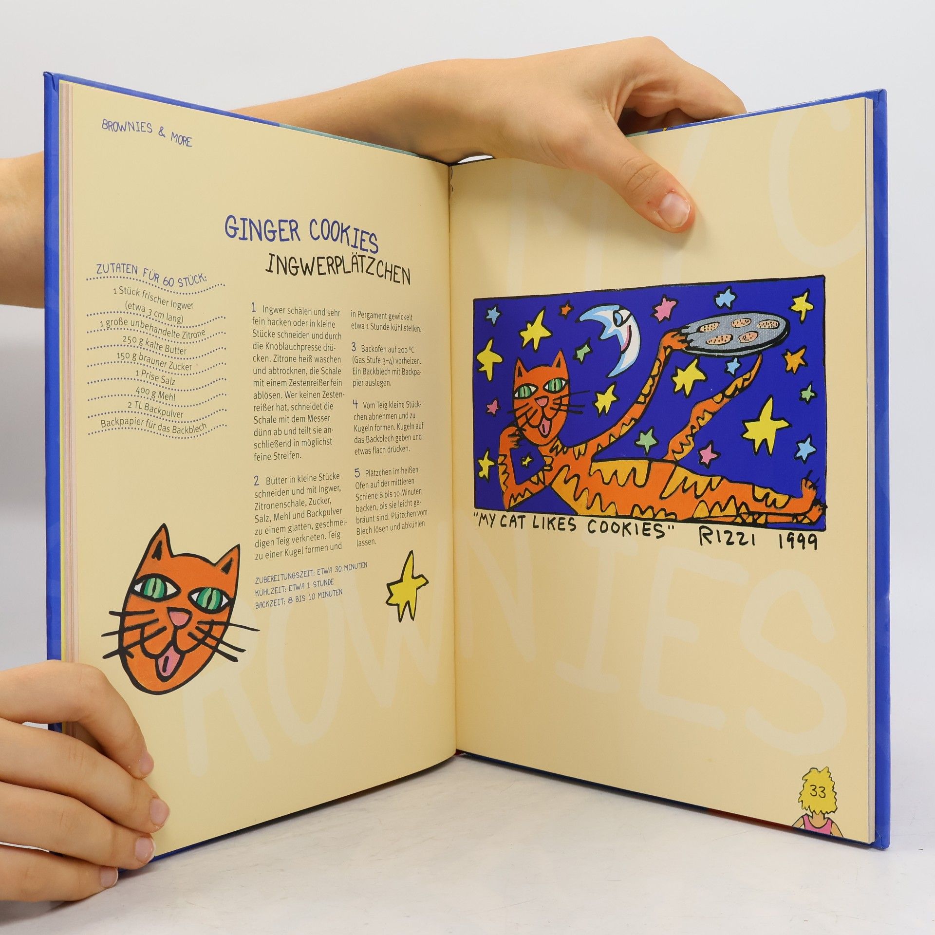 James Rizzi American cookies and more