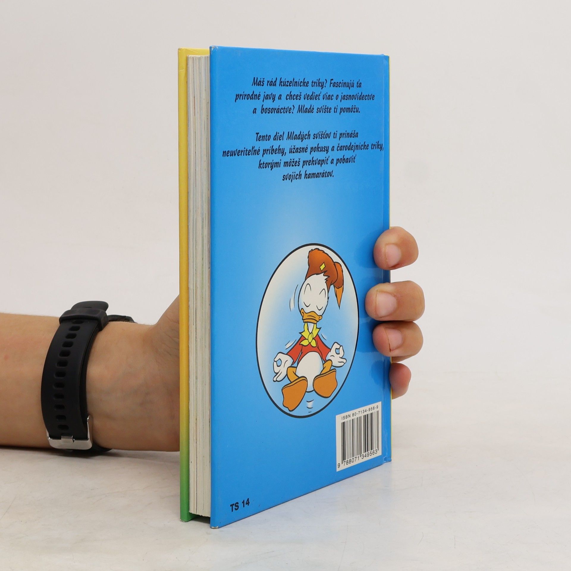 Walt Disney 10.príručka mladých svišťov