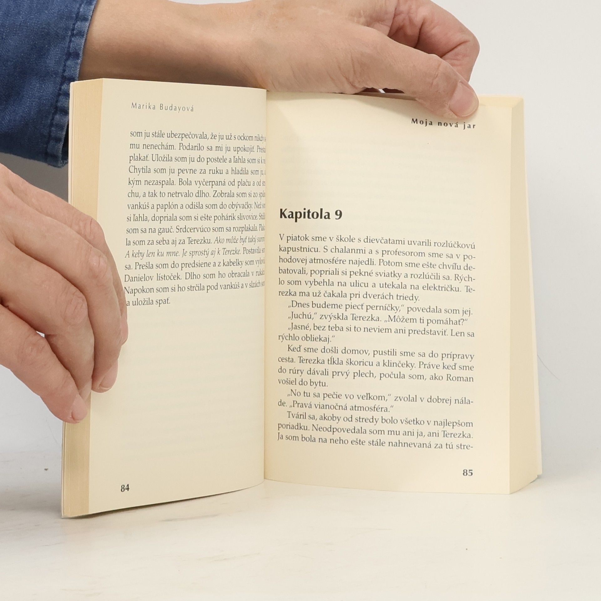 Autorenkollektiv Turečtina. Konverzácia se slovníkom a gramatikou