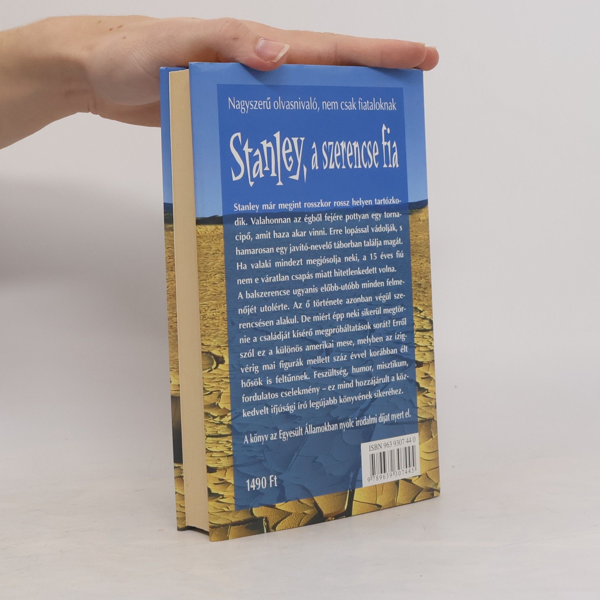 Louis Sachar Stanley, a szerencse fia