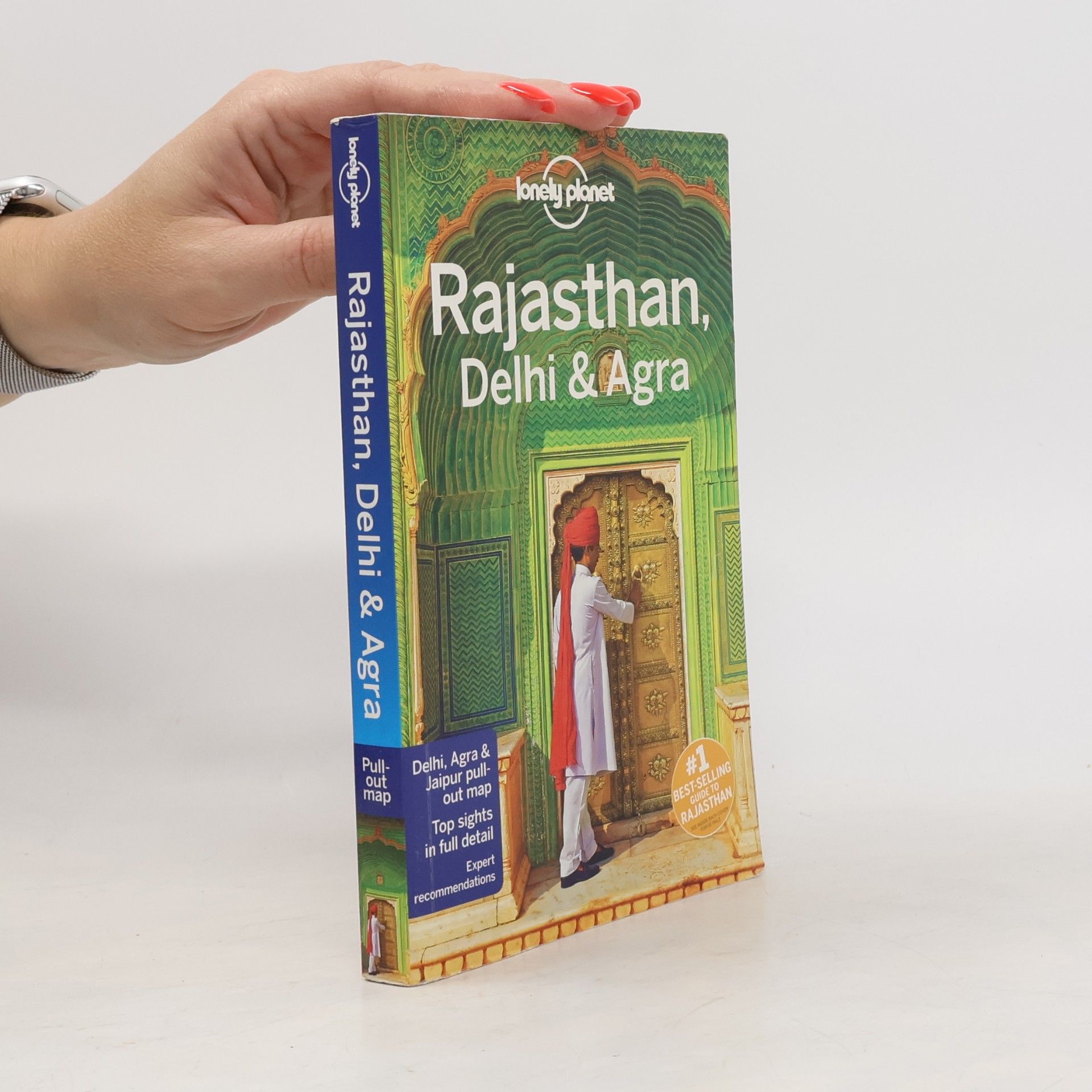 Lindsay Lindsay David Brown Lonely Planet Rajasthan, Delhi & Agra Guide