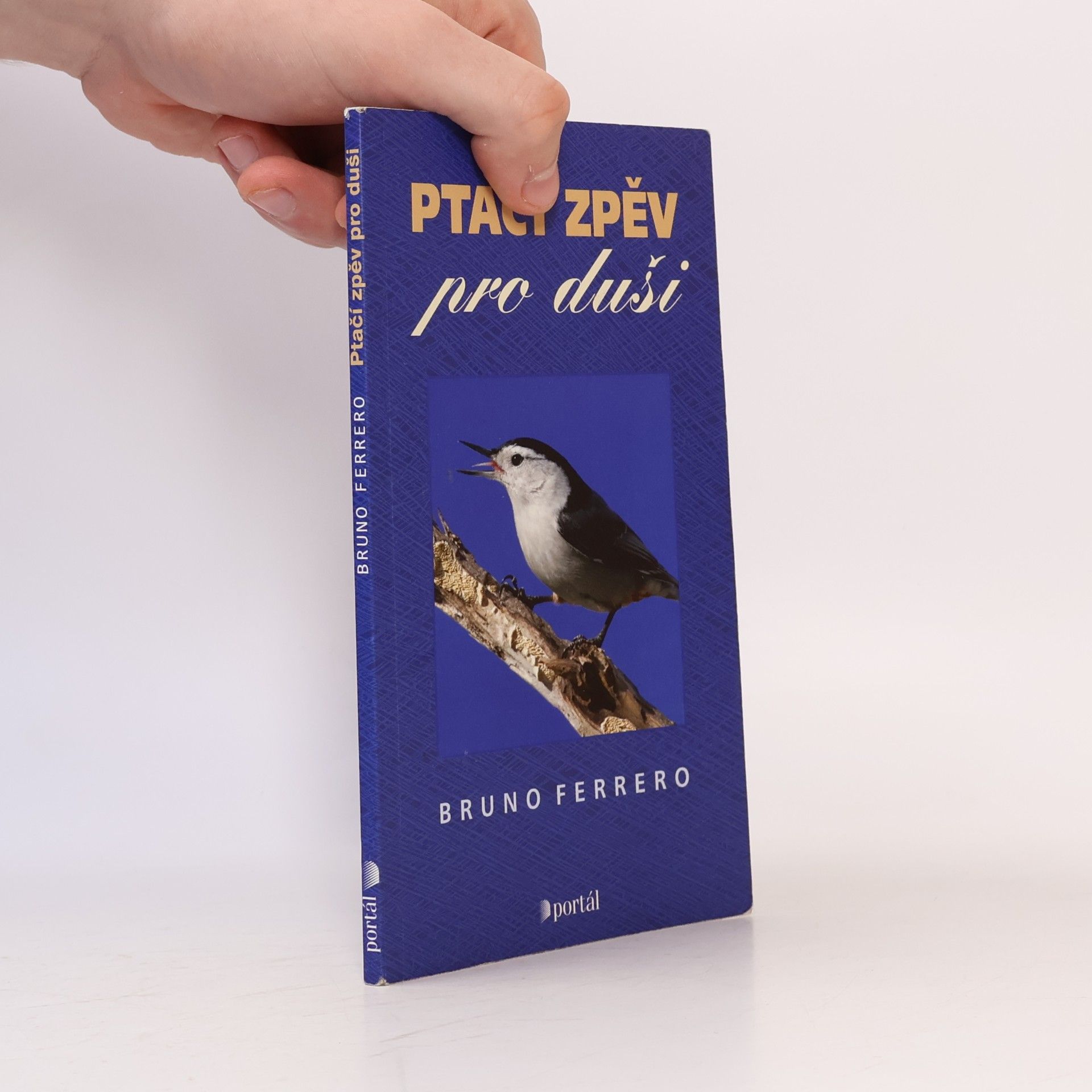 Ptačí zpěv pro duši