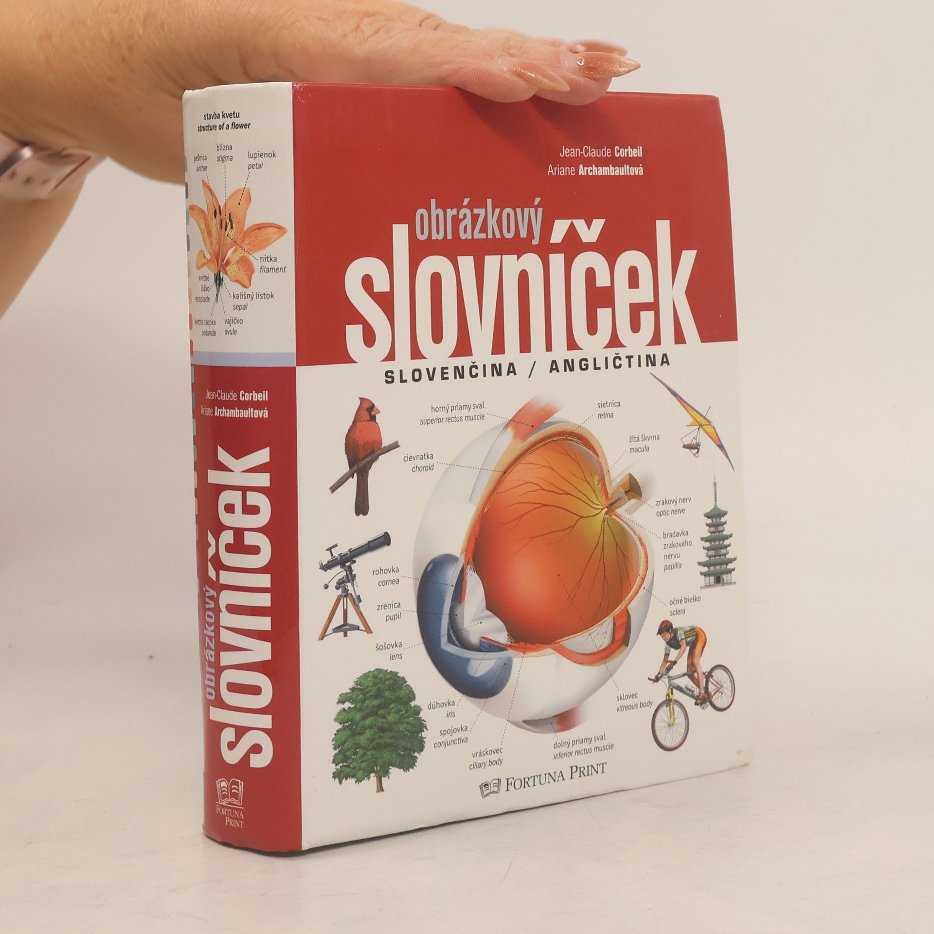 Obrázkový slovníček, Slovenčina / Angličtina