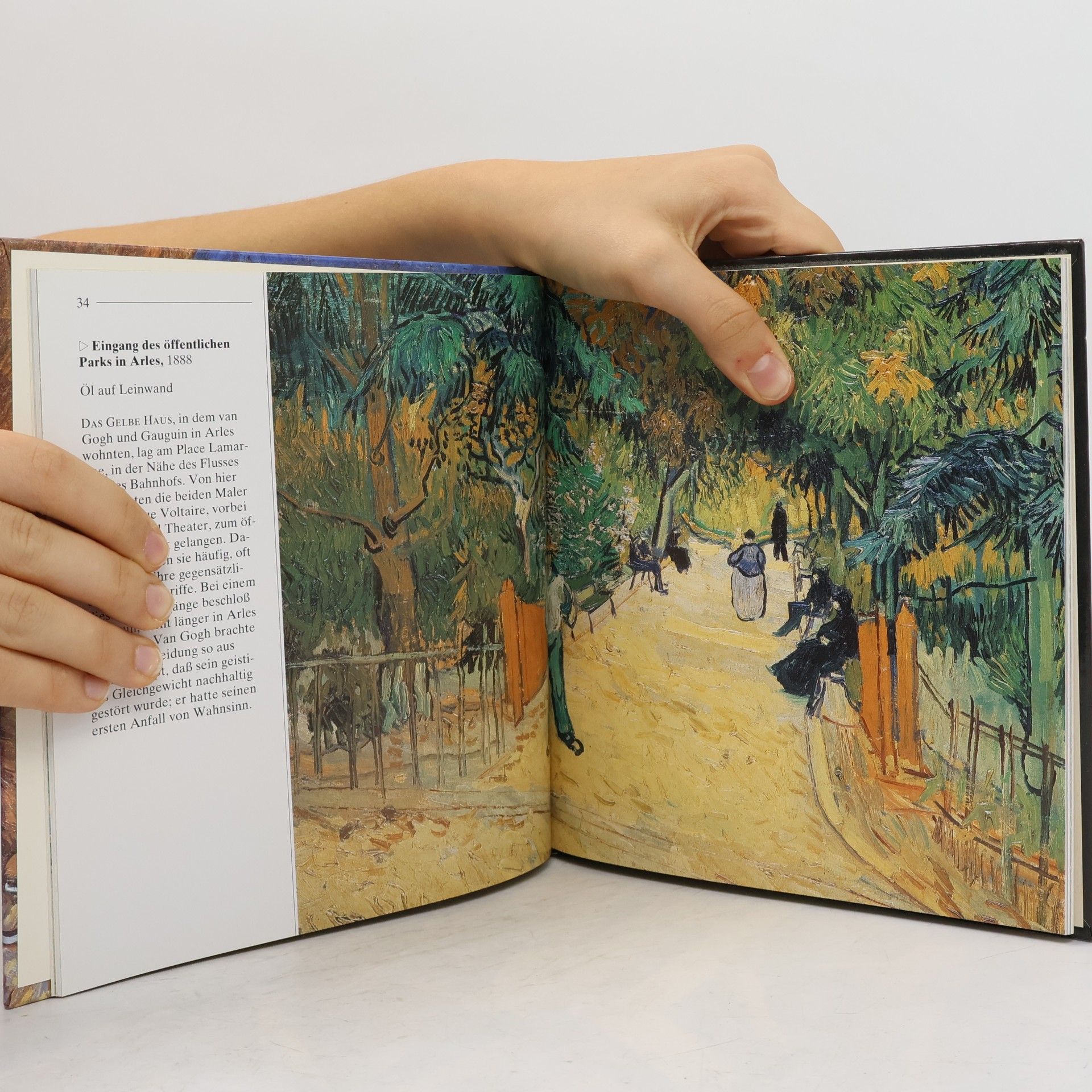 Vincent van Gogh Van Gogh