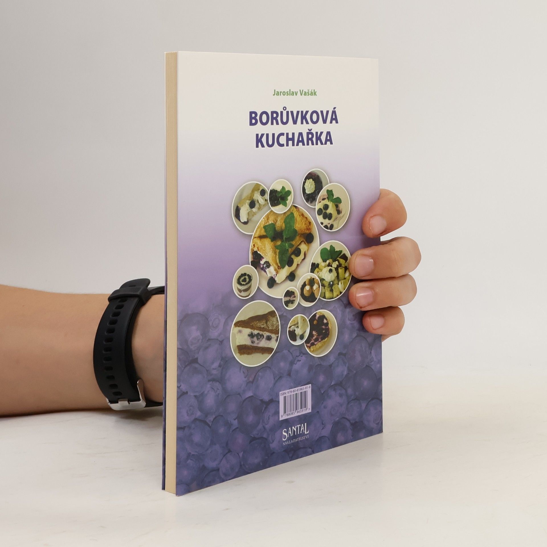 Jaroslav Vašák Borůvková kuchařka