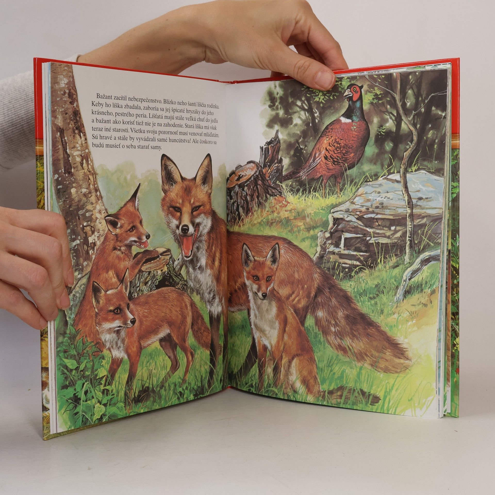 Autorenkollektiv Moja najkrajšia kniha o zvieratkách