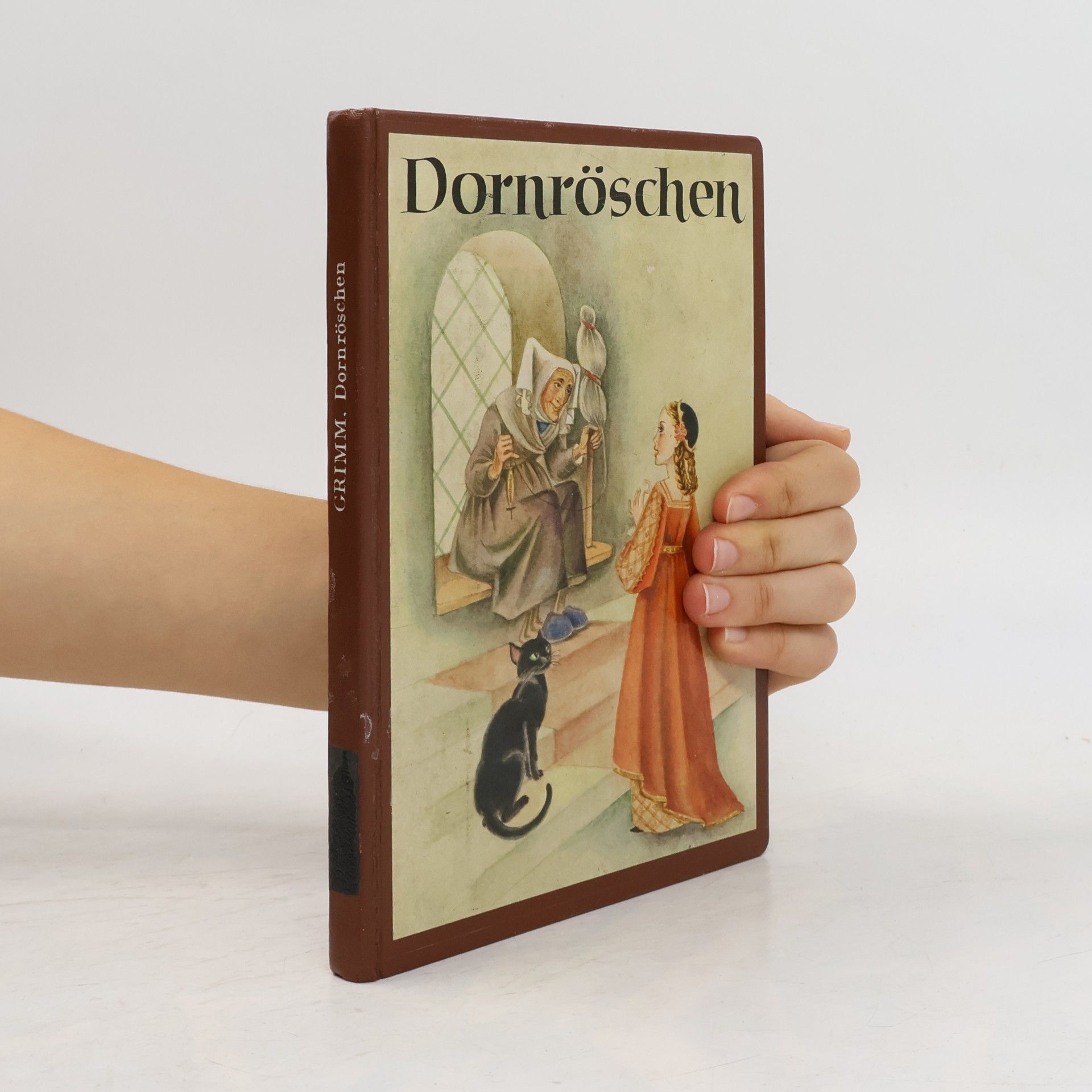 bratři Grimmové Dornröschen