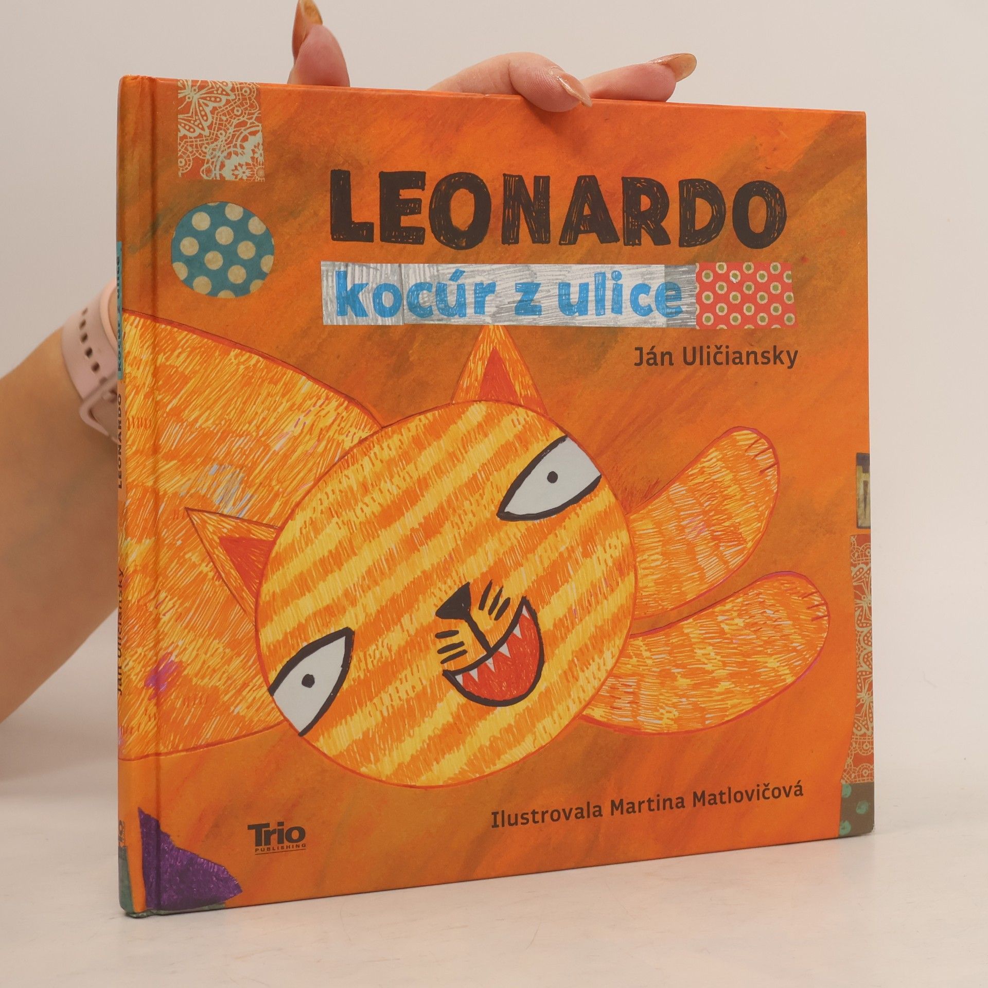 Ján Uličiansky Leonardo: Kocúr z ulice