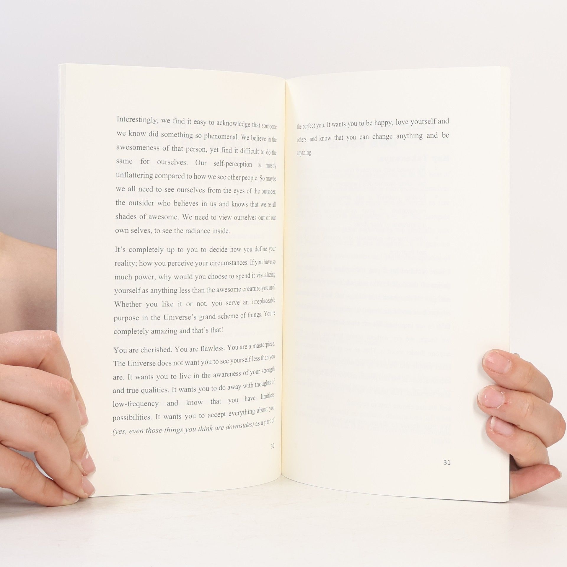Book Addict Summary of You Are a Badass