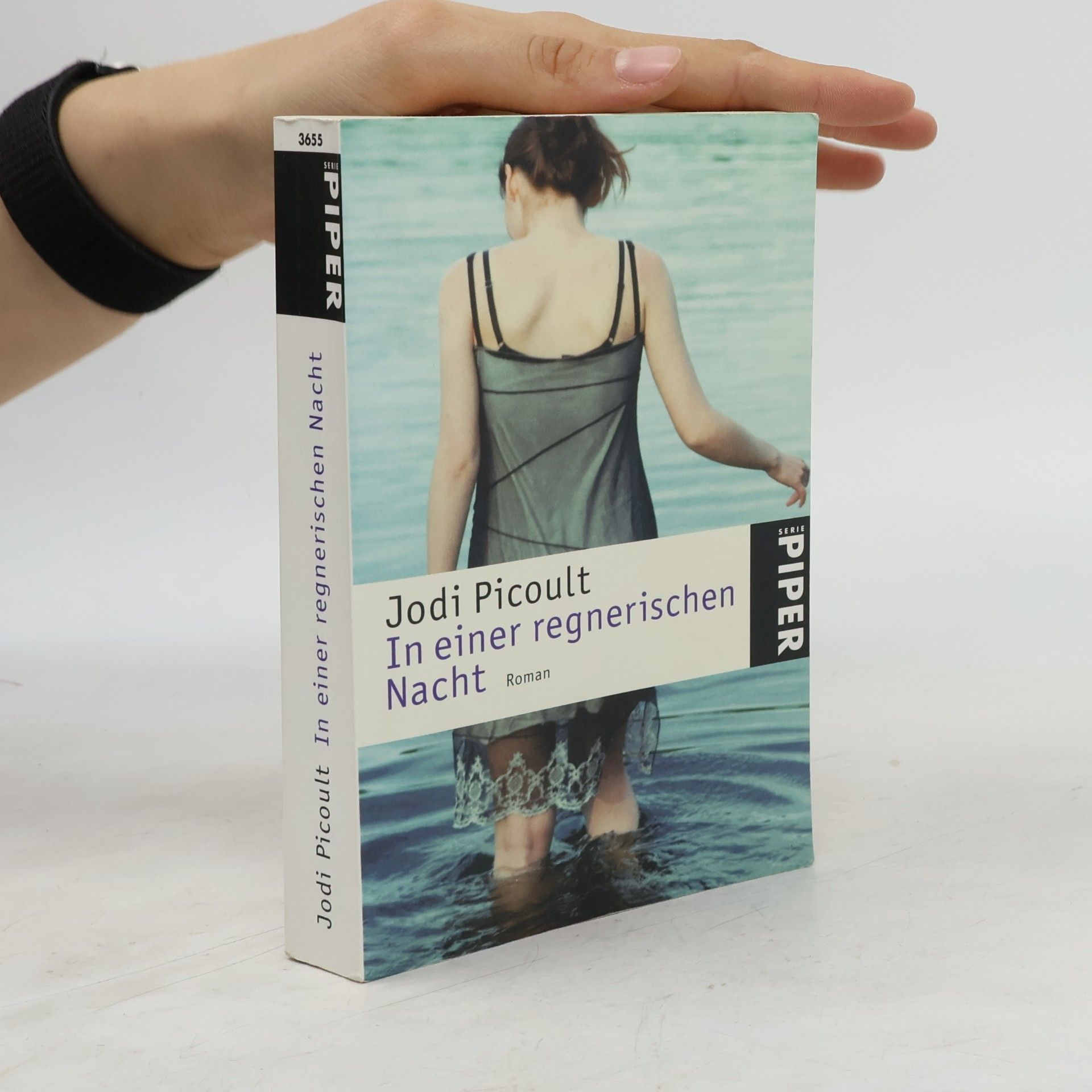 Jodi Picoult In einer regnerischen Nacht