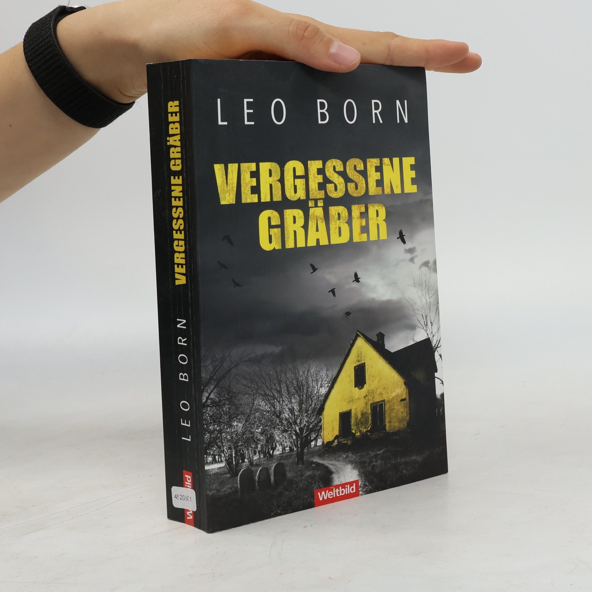 Leo Born Vergessene Gräber