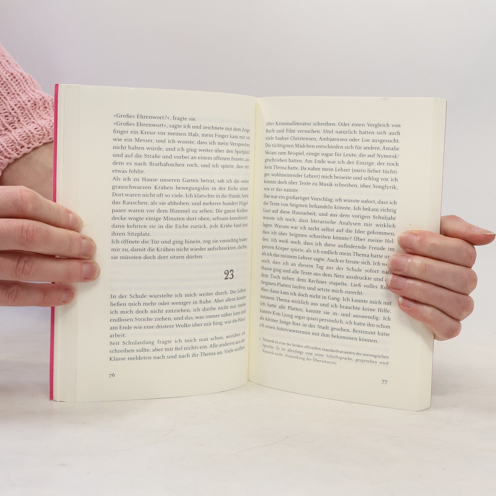 Stein Erik Lunde Sauerländer Jugendbuch: Wie Liebe, nur anders