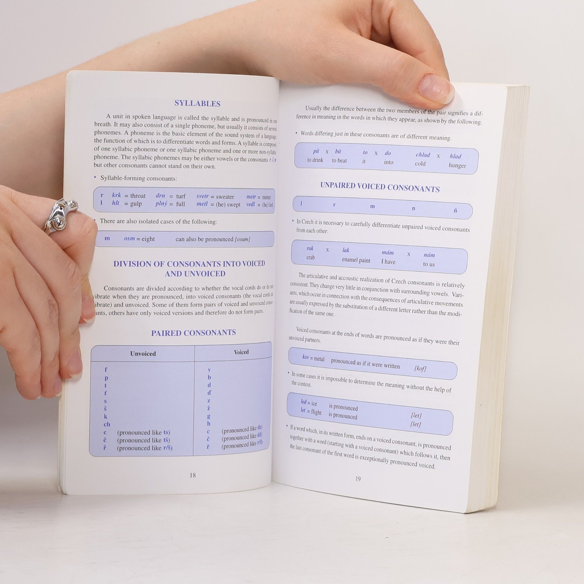 Autorenkollektiv The Course of Czech Grammar