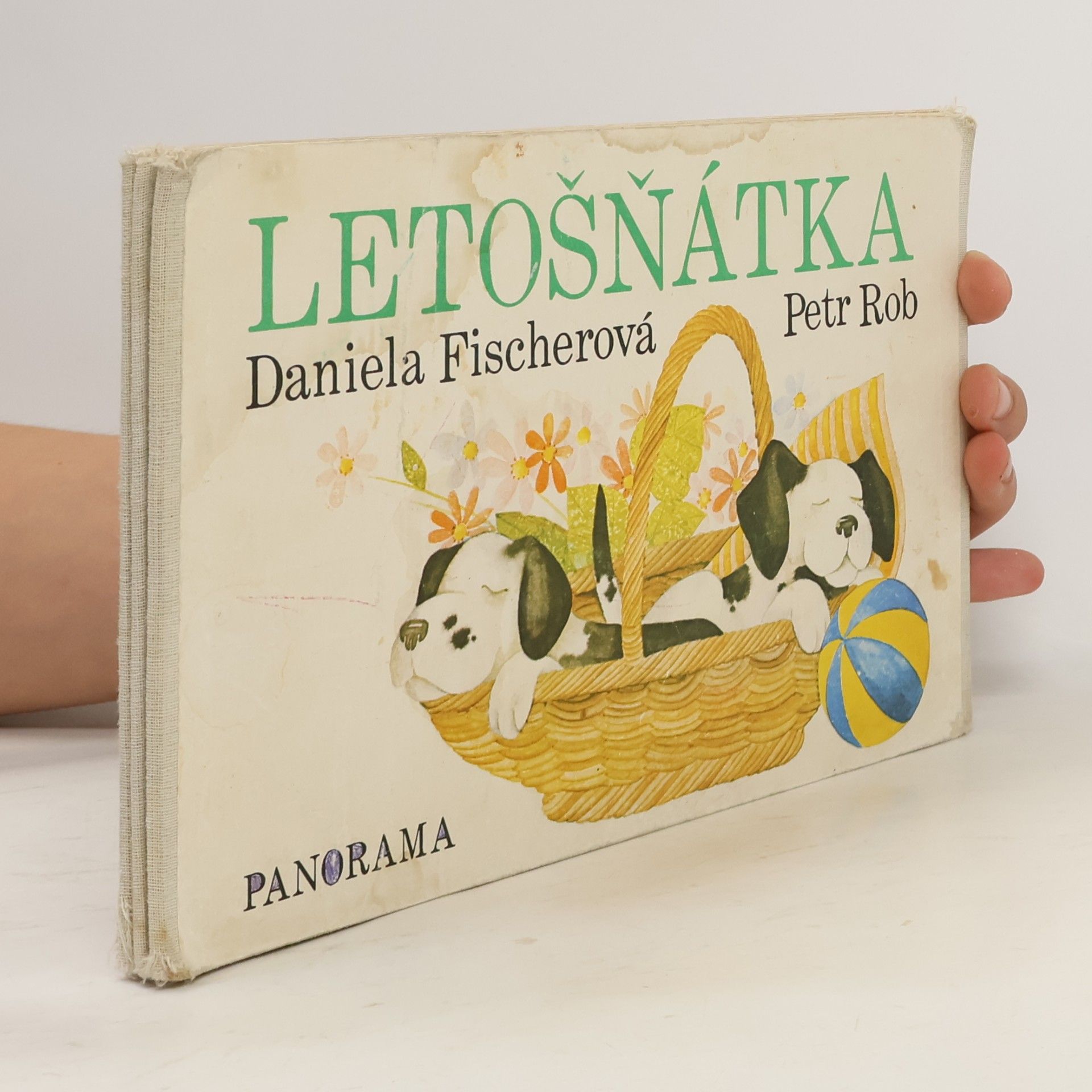 Daniela Fischer Letošňátka