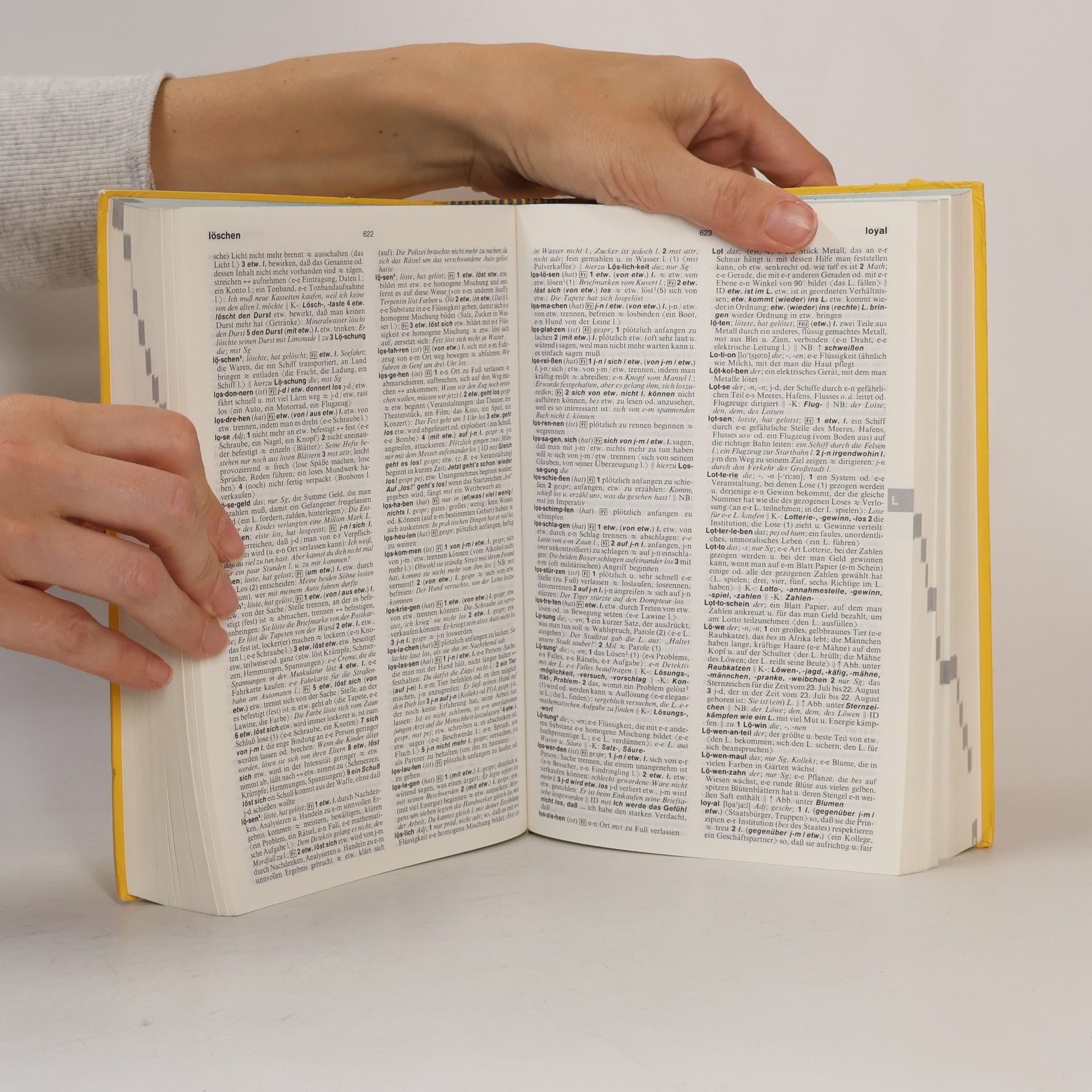 Various authors Langenscheidts Großwörterbuch Deutsch als Fremdsprache