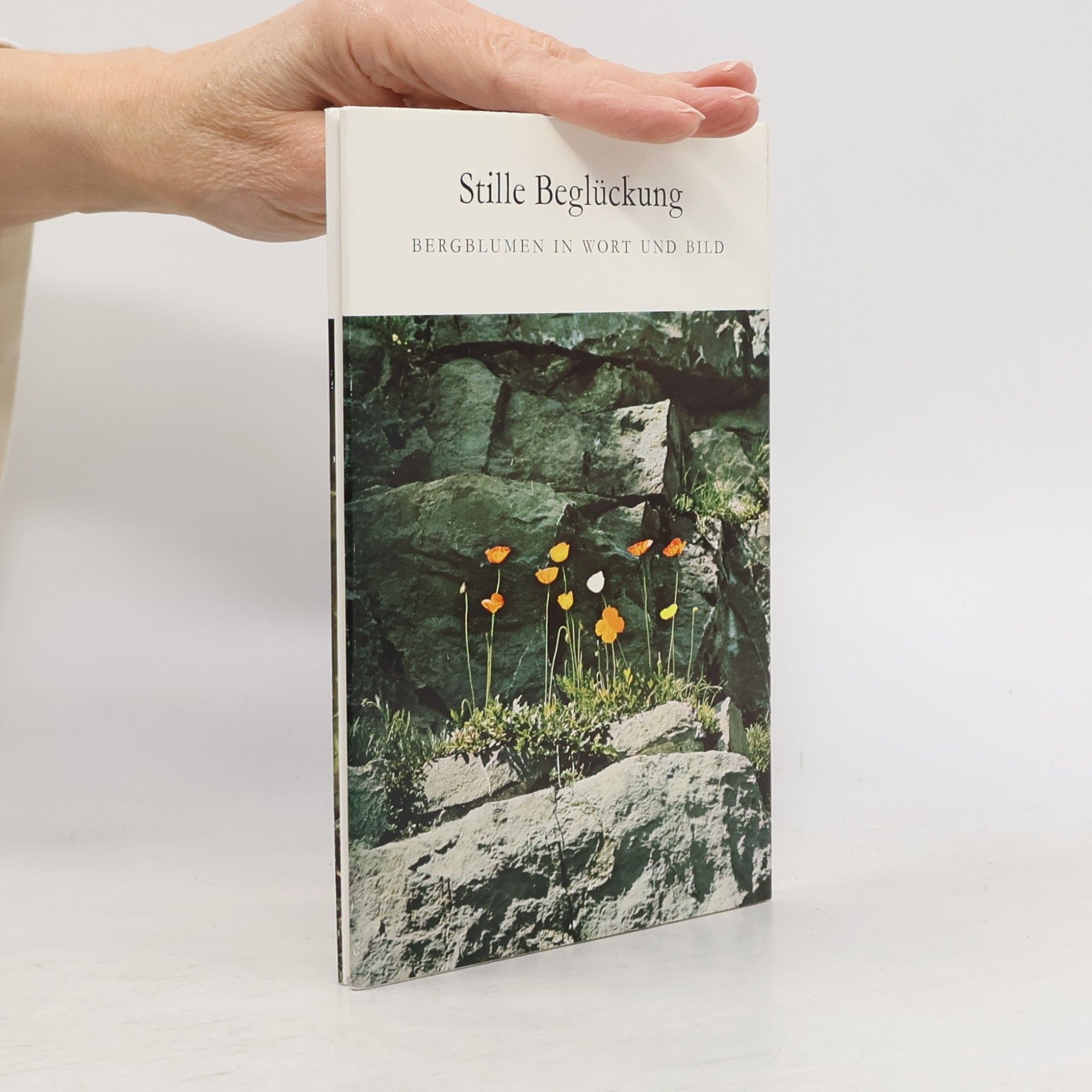Autorenkollektiv Stille Beglückung