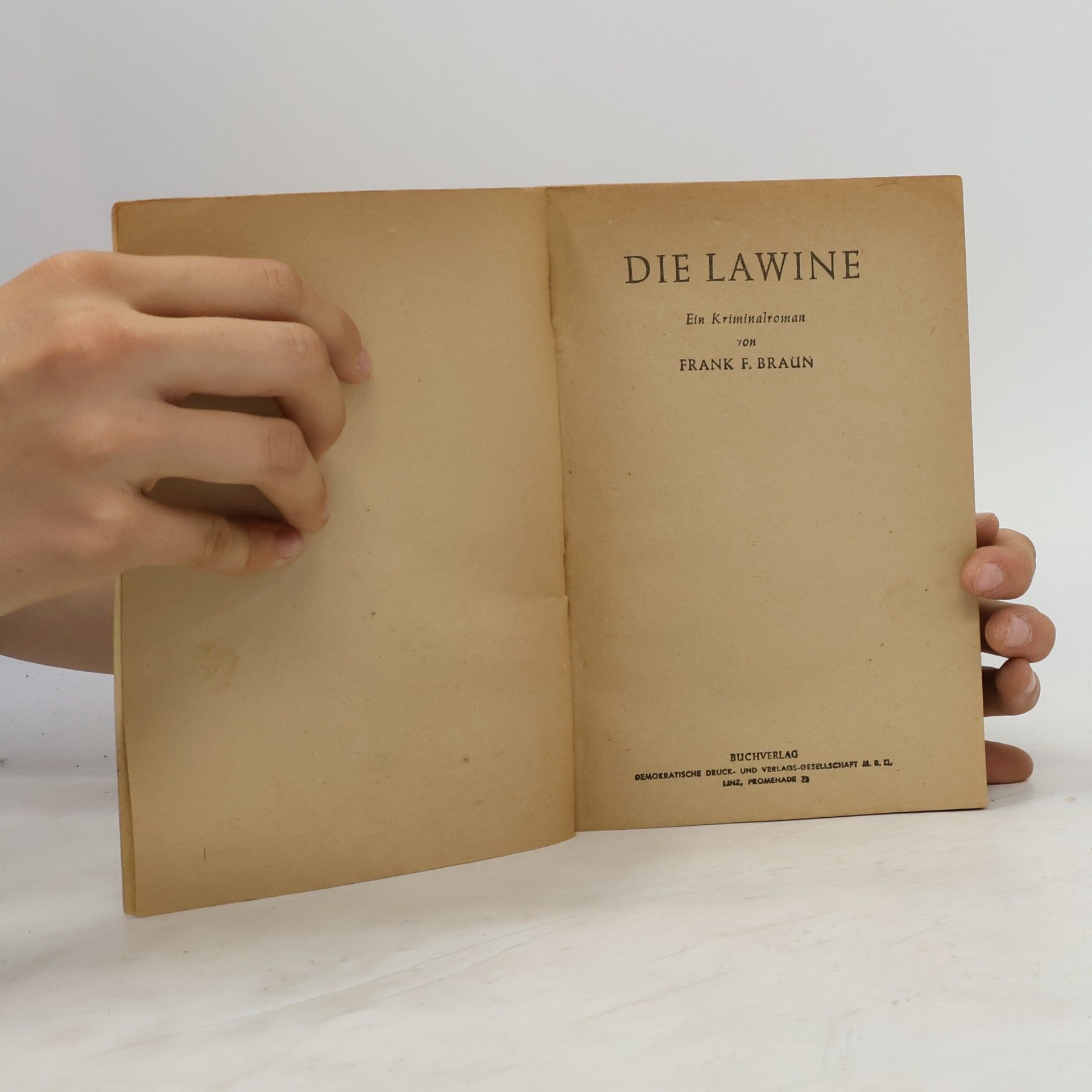 Frank F. Braun Die Lawine