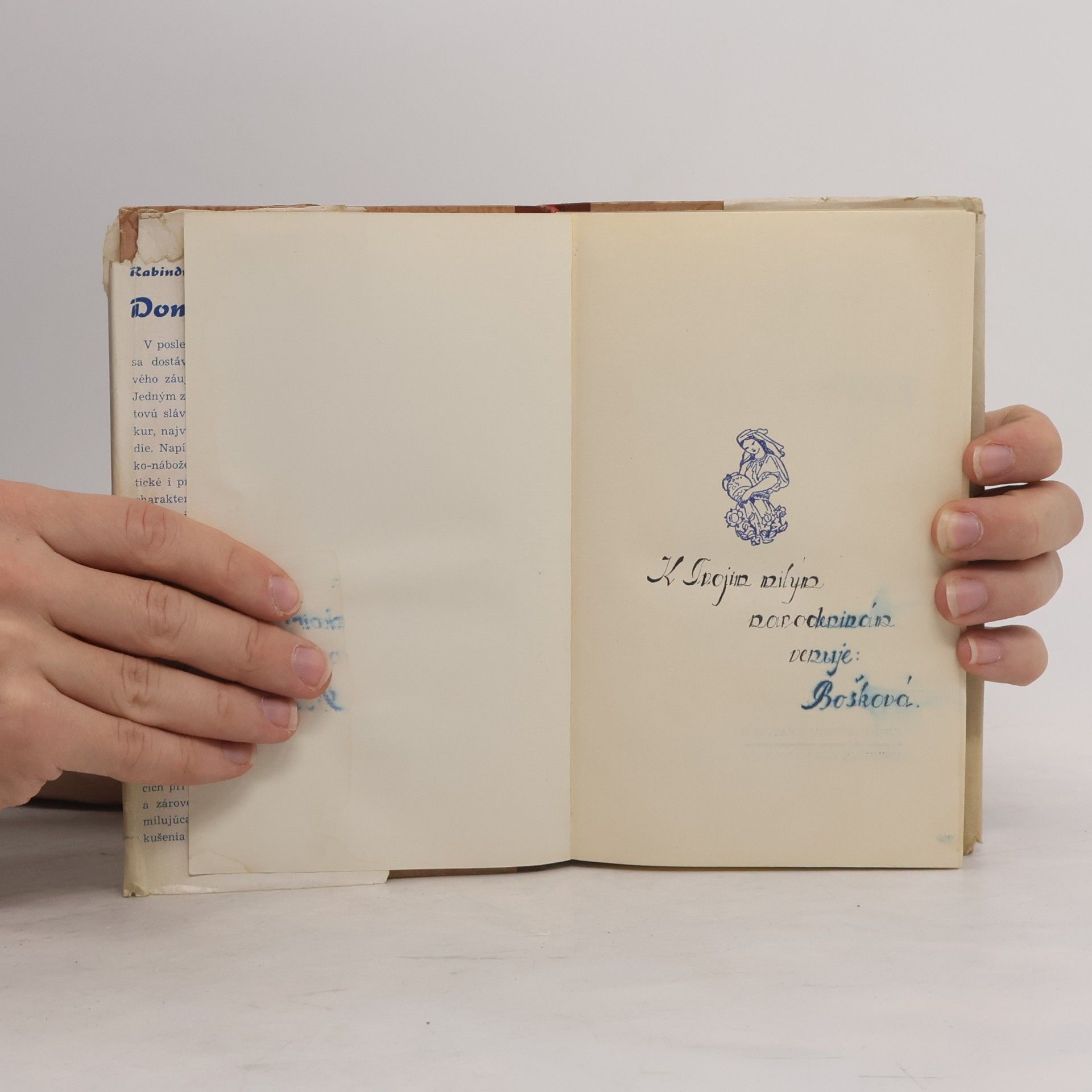 Rabindranath Tagore Domov a svět